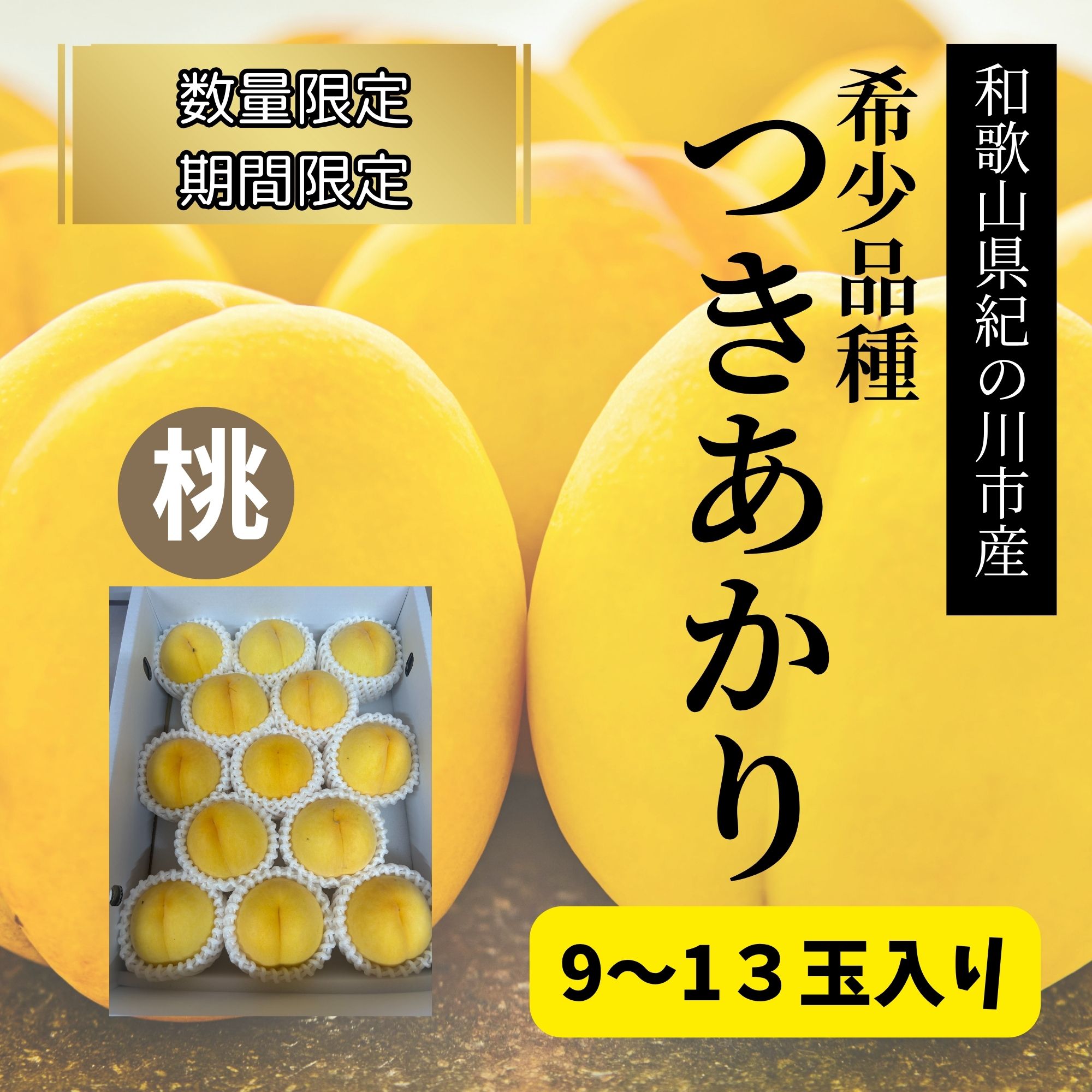 先行予約スタート！【数量限定・期間限定・高ポイント還元】和歌山県