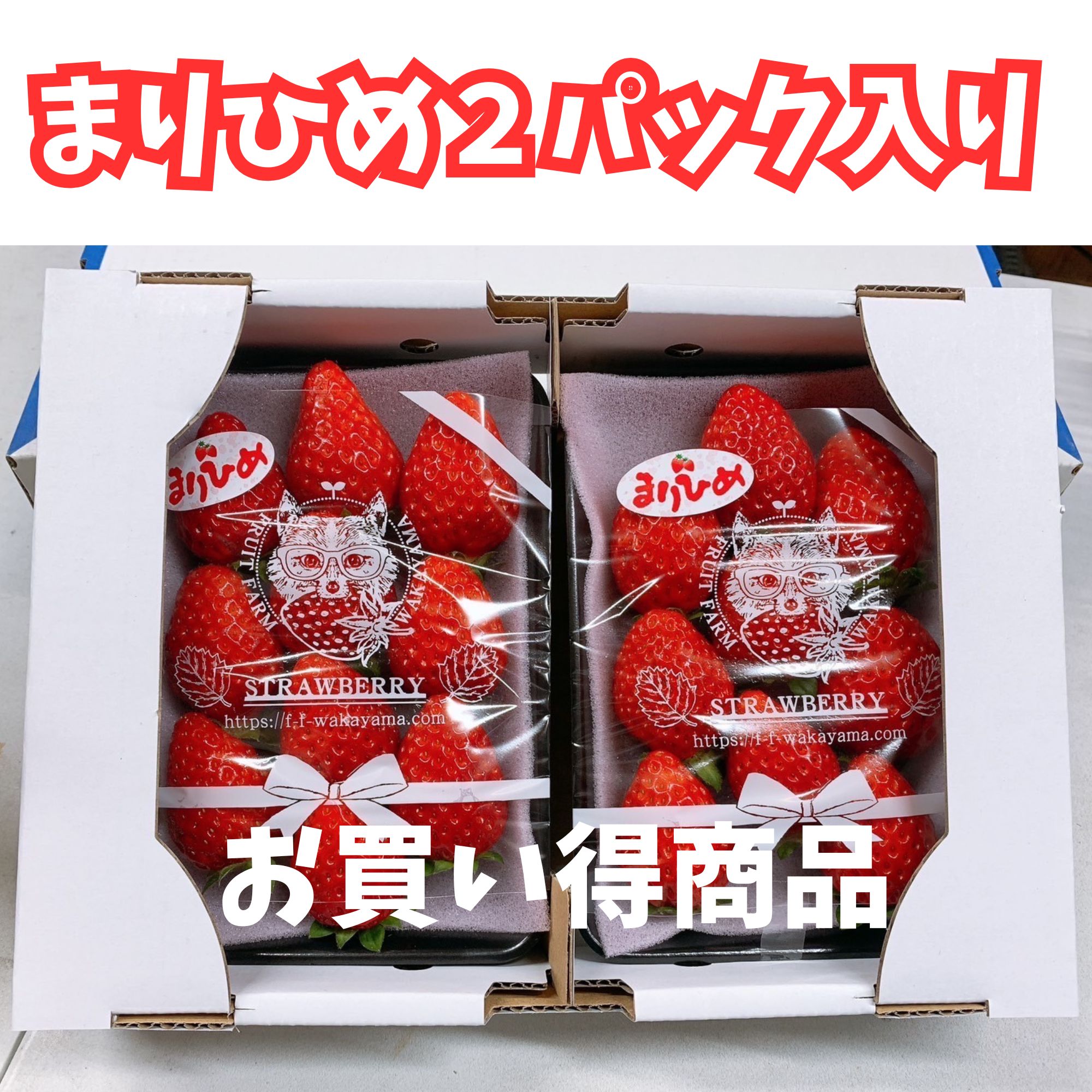 お買い得商品・高ポイント還元】和歌山県限定品種 まりひめいちご(8
