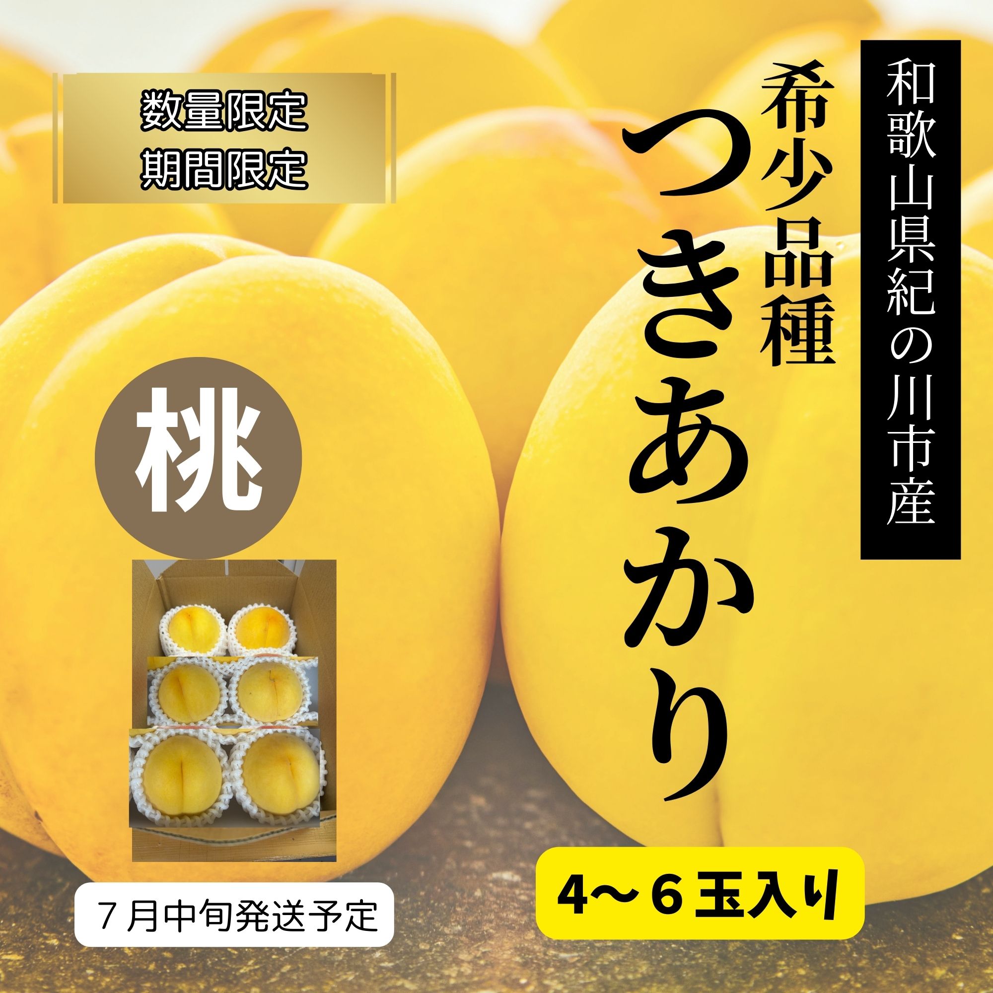 先行予約スタート！【数量限定・期間限定・高ポイント還元】和歌山県