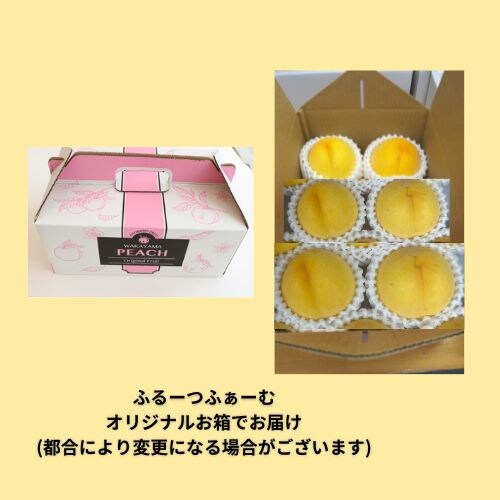 先行予約スタート！【数量限定・期間限定・高ポイント還元】和歌山県