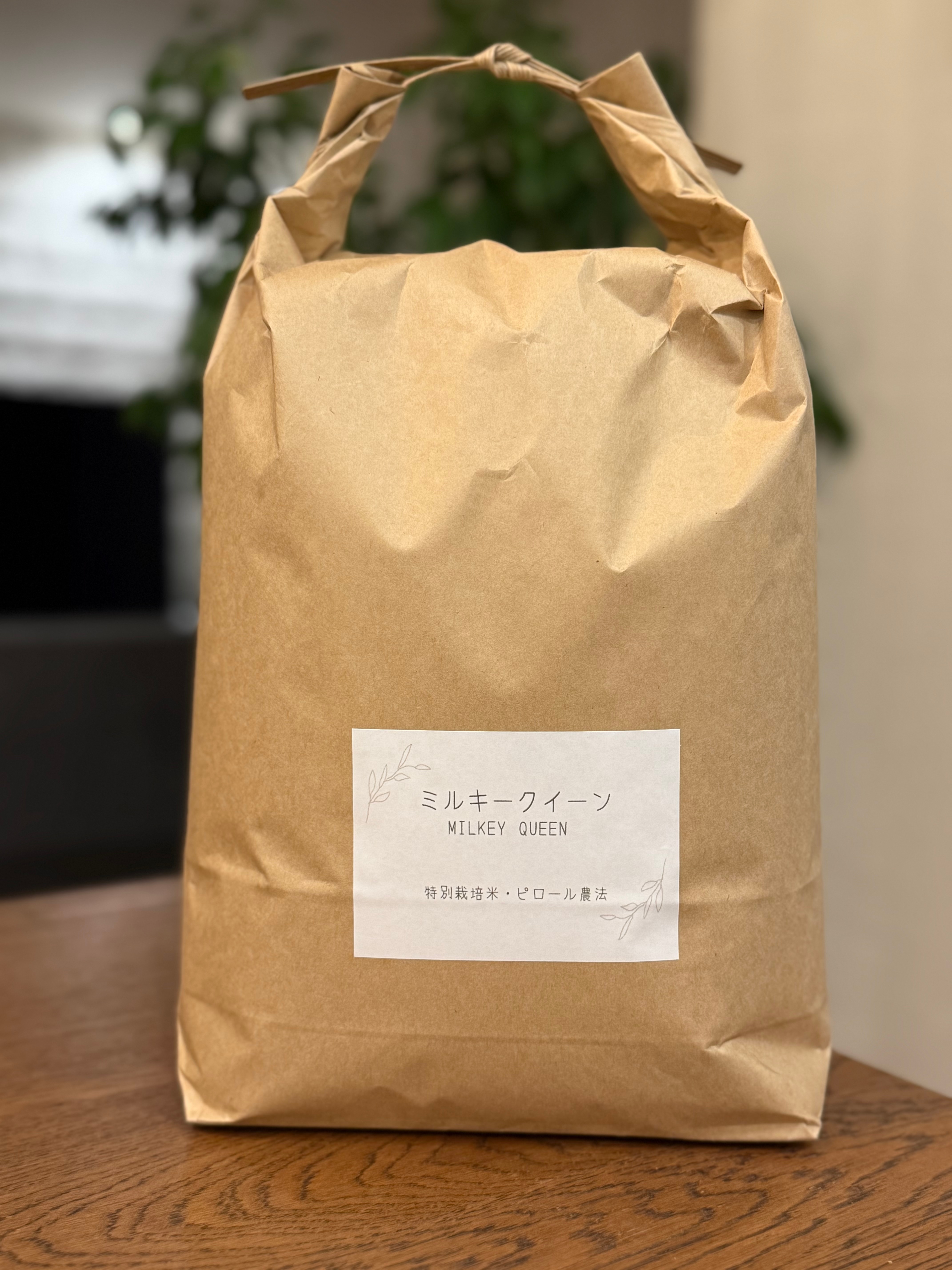 玄米ミルキークイーン特別栽培米令和8年度産 2kg|AMAREA DATES CAFE