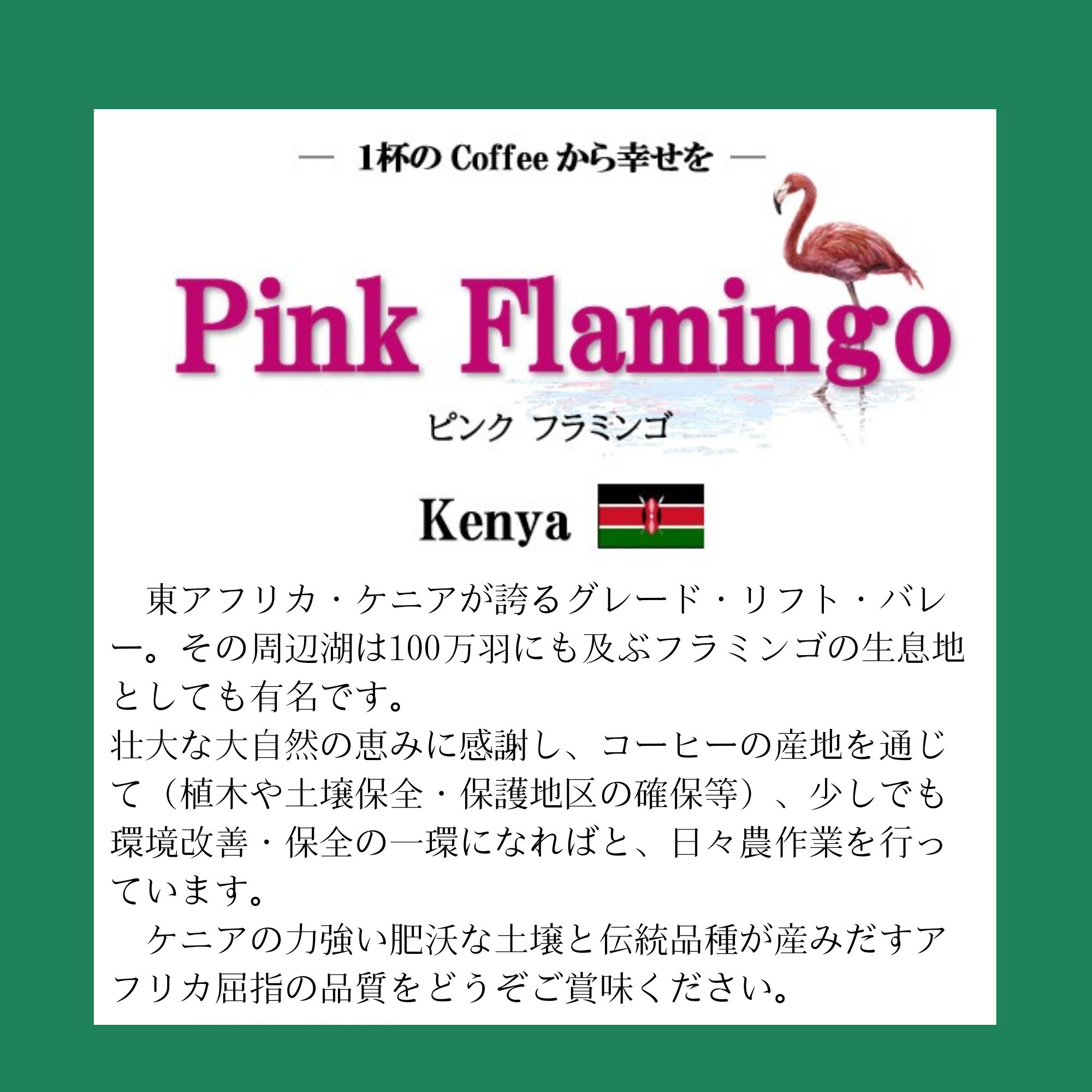 🇰🇪 Kenya Pink Flamingo / ピンクフラミンゴ