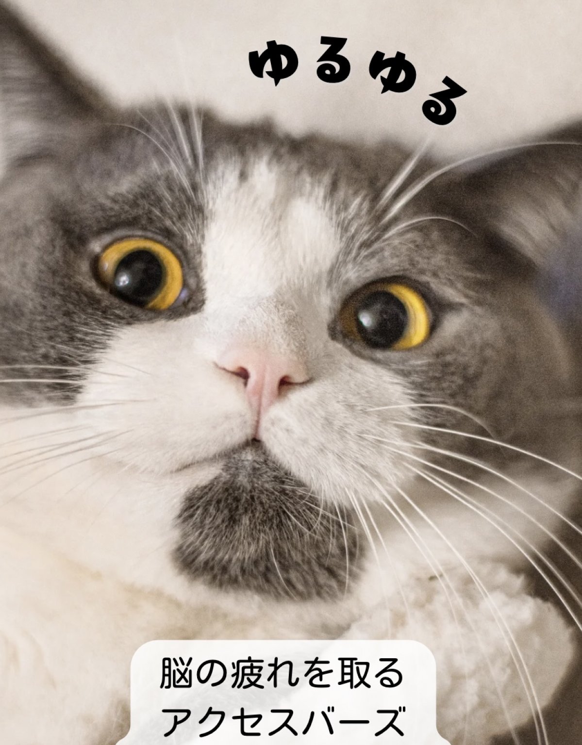 90分　至福のアクセスバーズ