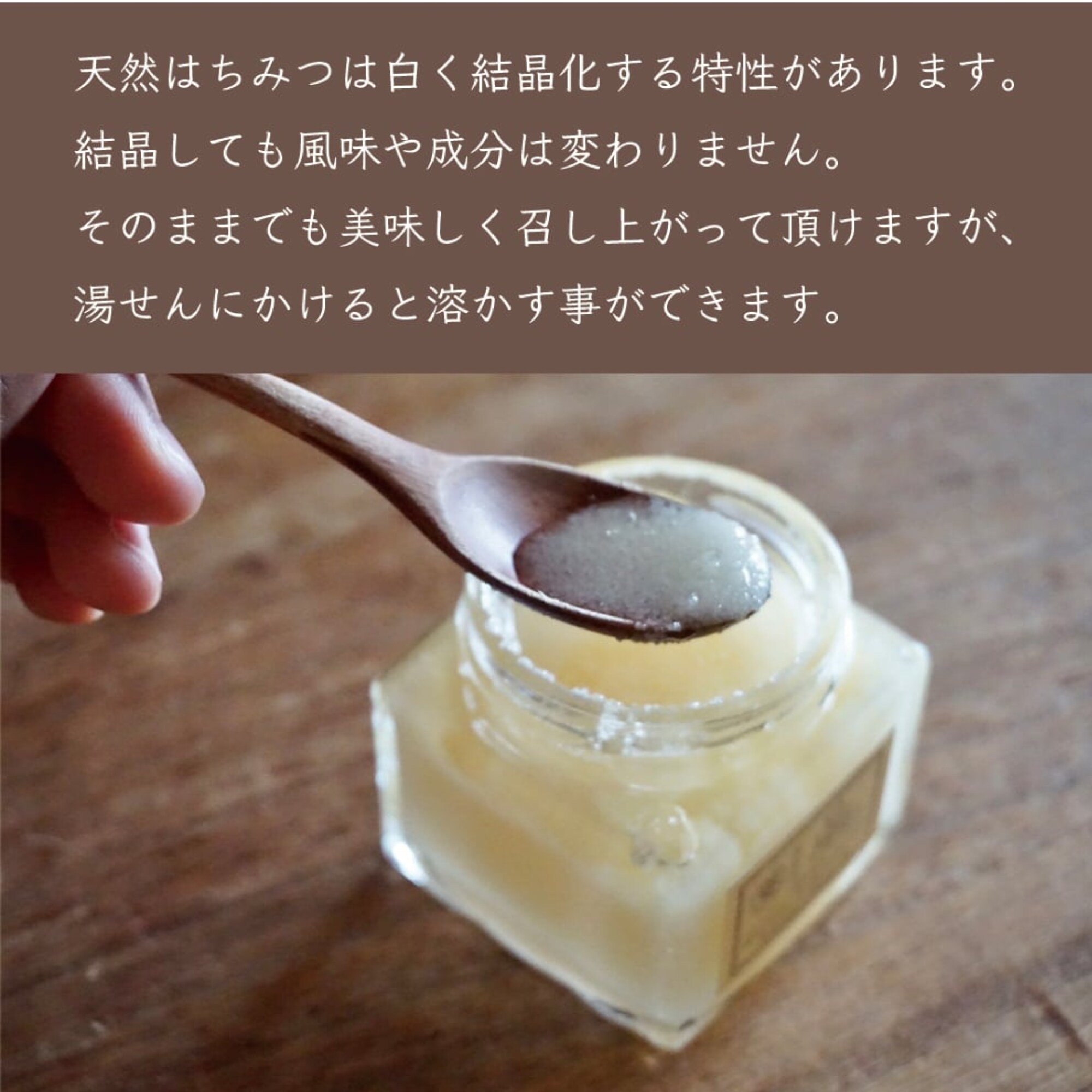 2024年新蜜】国産みかん蜂蜜 ［瓶タイプ］ 50g | 非加熱 | 抗生物質不使用