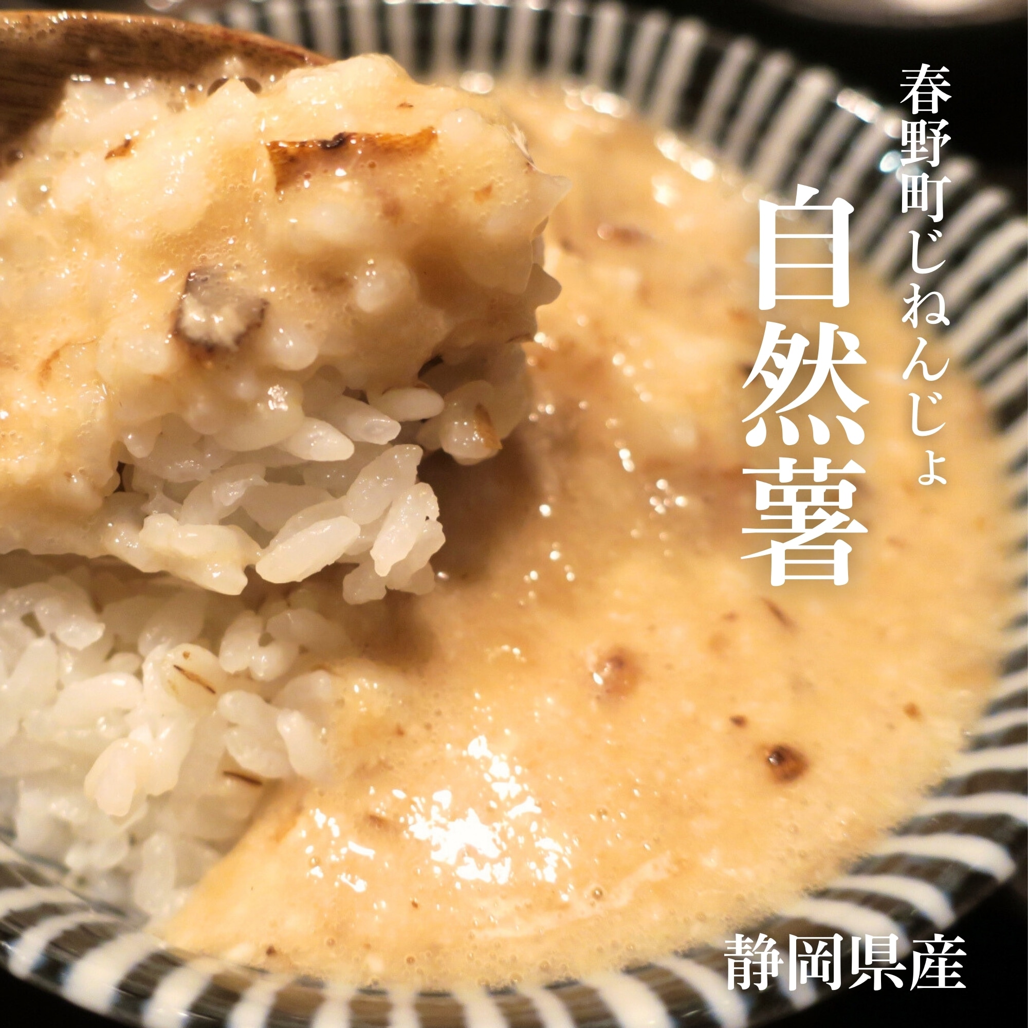 静岡県産【自然薯（じねんじょ）】1本（約500g）