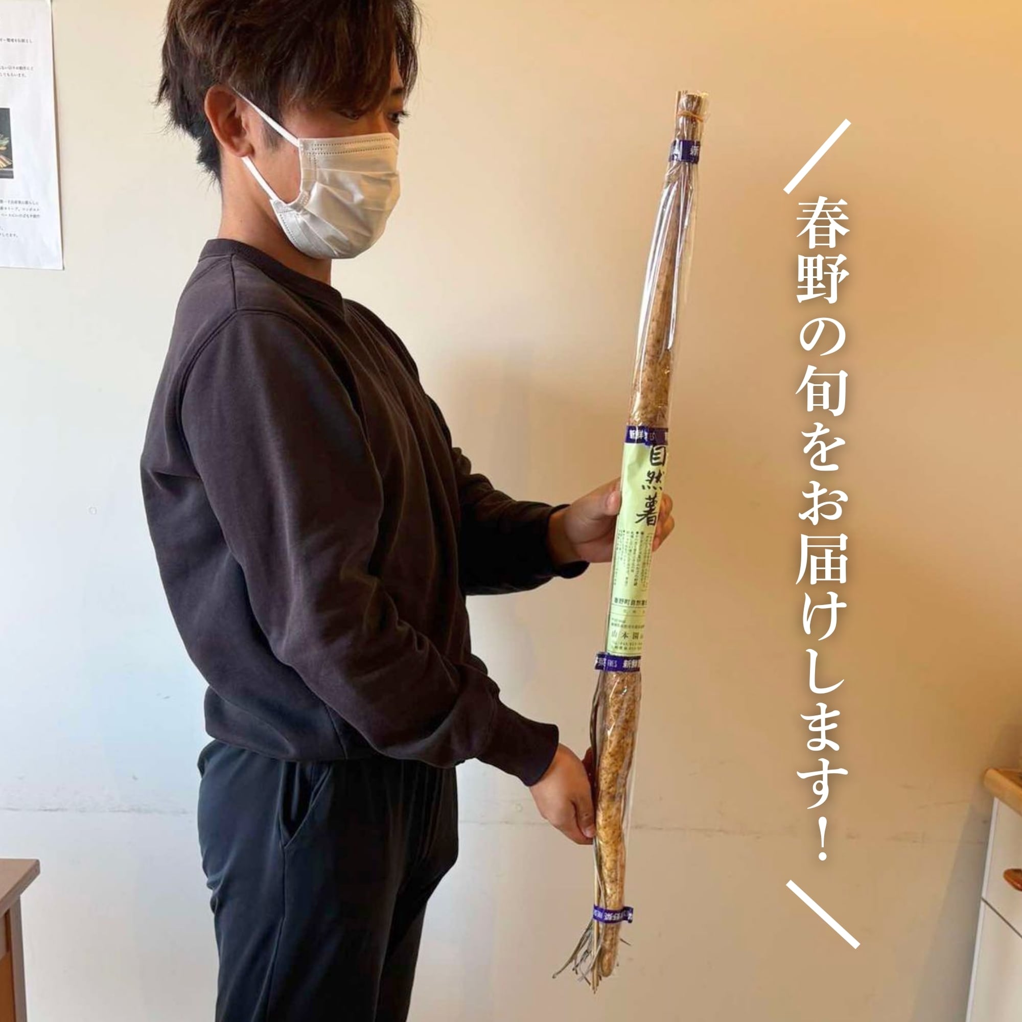 静岡県産【自然薯（じねんじょ）】1本（約500g）