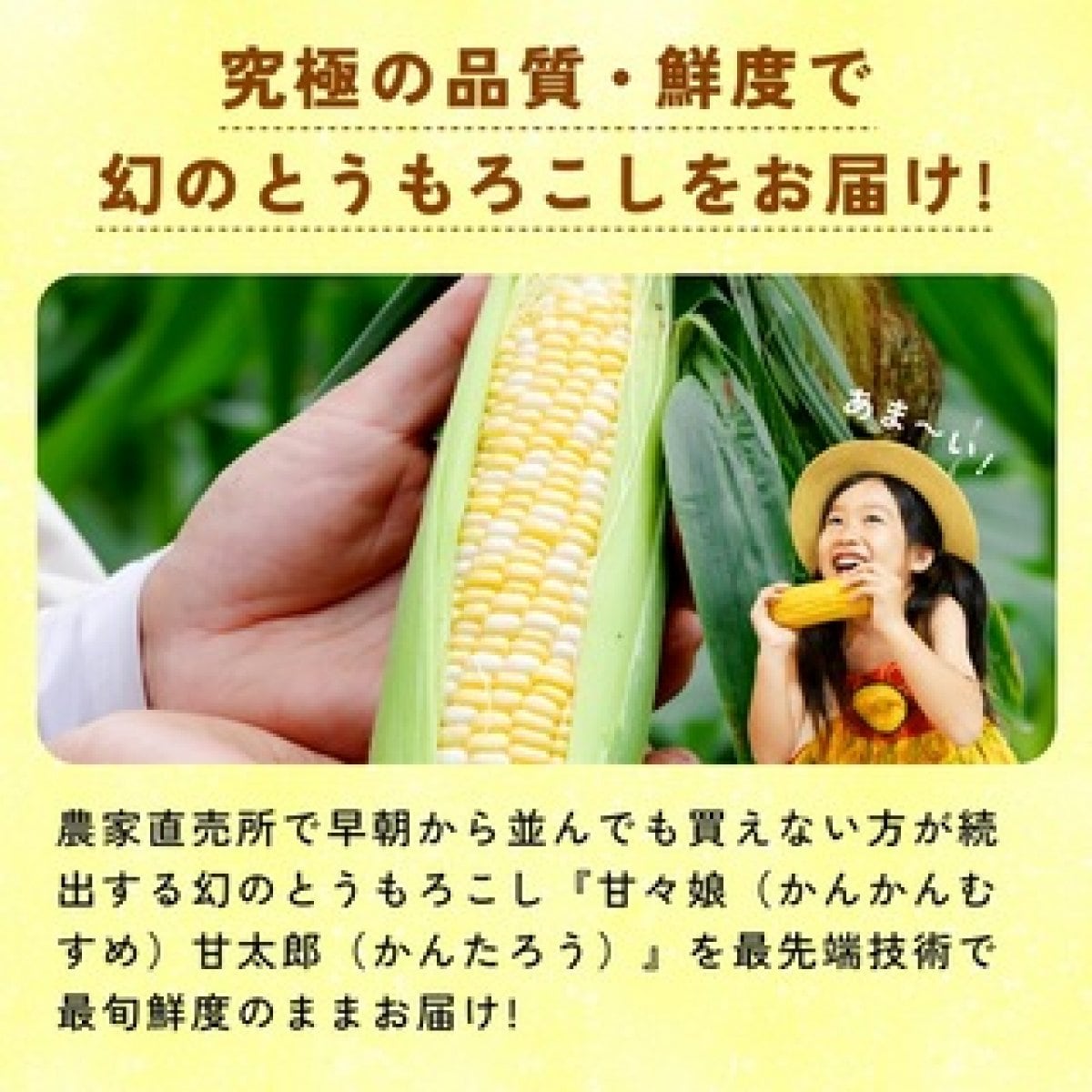 甘々娘とうもろこし