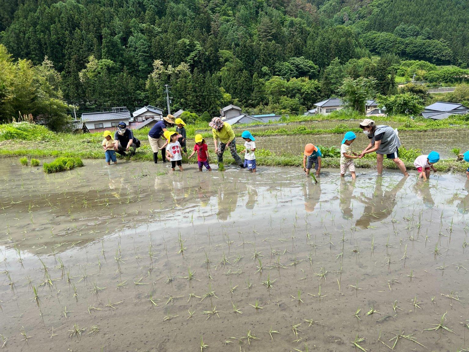 【リクエスト受付中】田んぼの中に答えがある～こめる農園＊体験会予約サイト～
