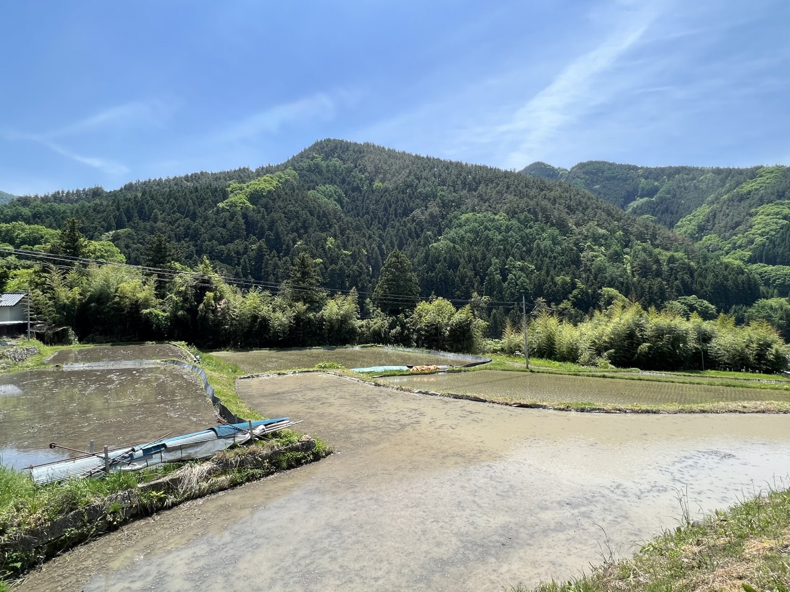 【リクエスト受付中】田んぼの中に答えがある～こめる農園＊体験会予約サイト～