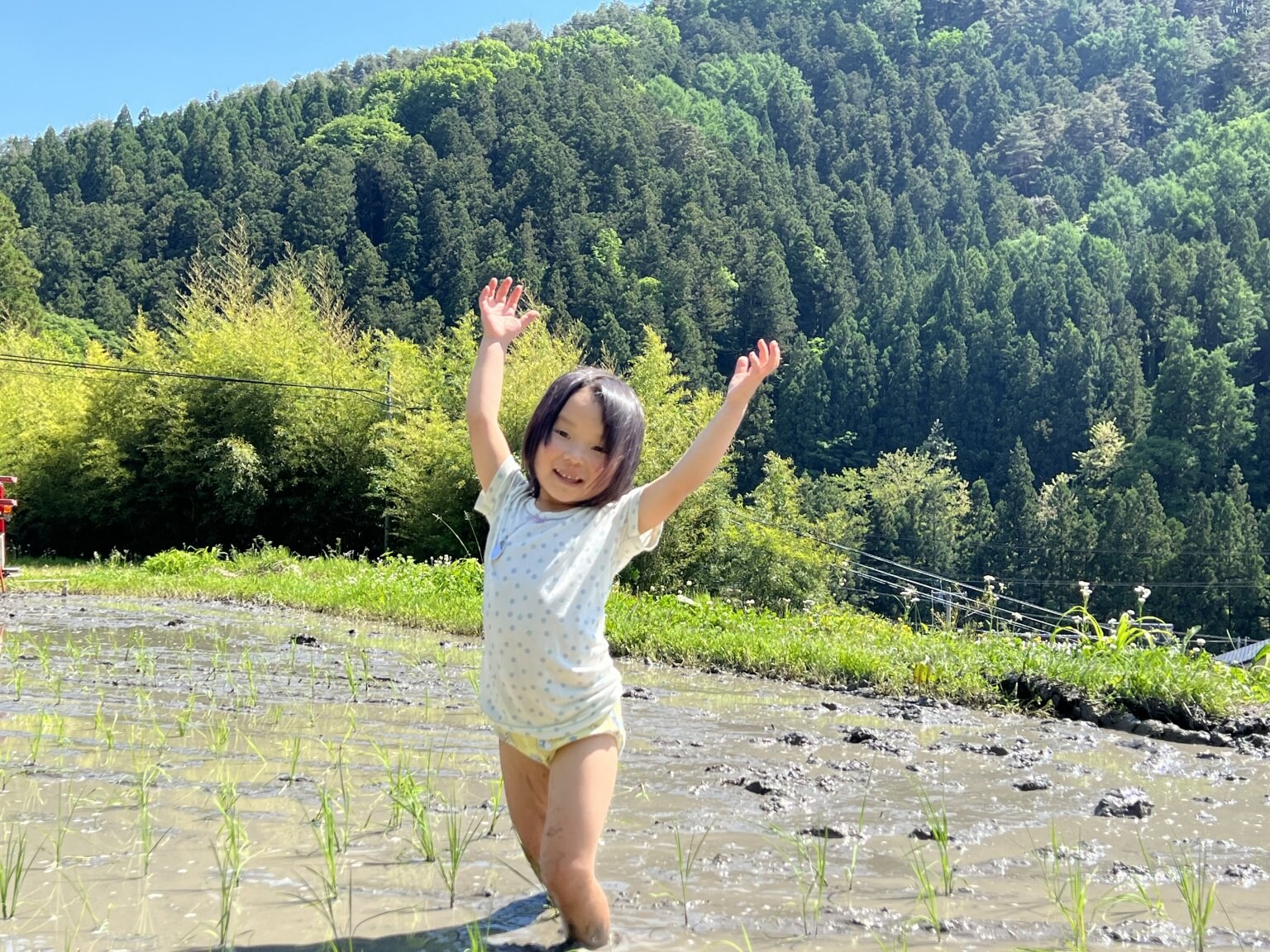 【リクエスト受付中】田んぼの中に答えがある～こめる農園＊体験会予約サイト～