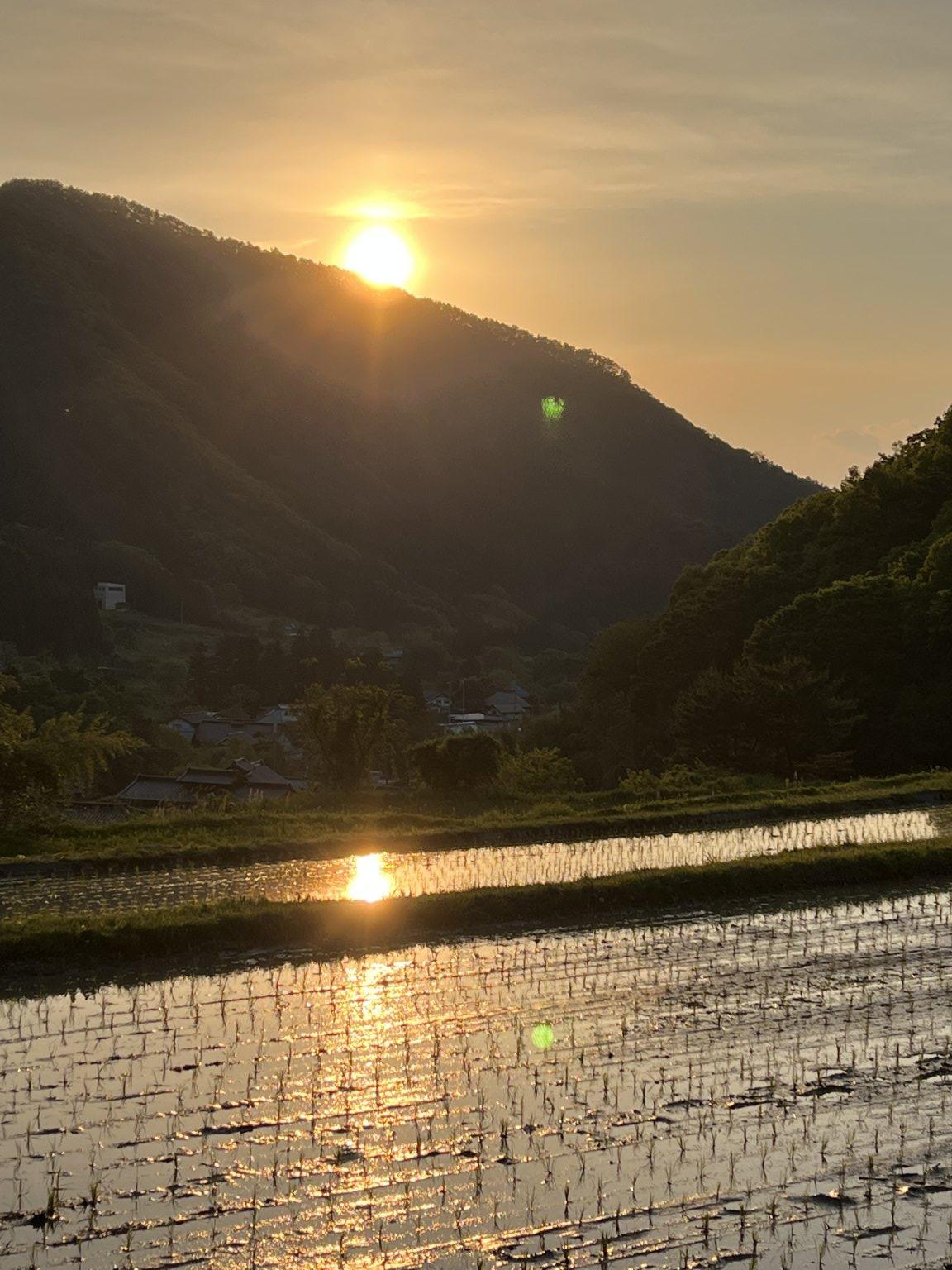 【リクエスト受付中】田んぼの中に答えがある～こめる農園＊体験会予約サイト～