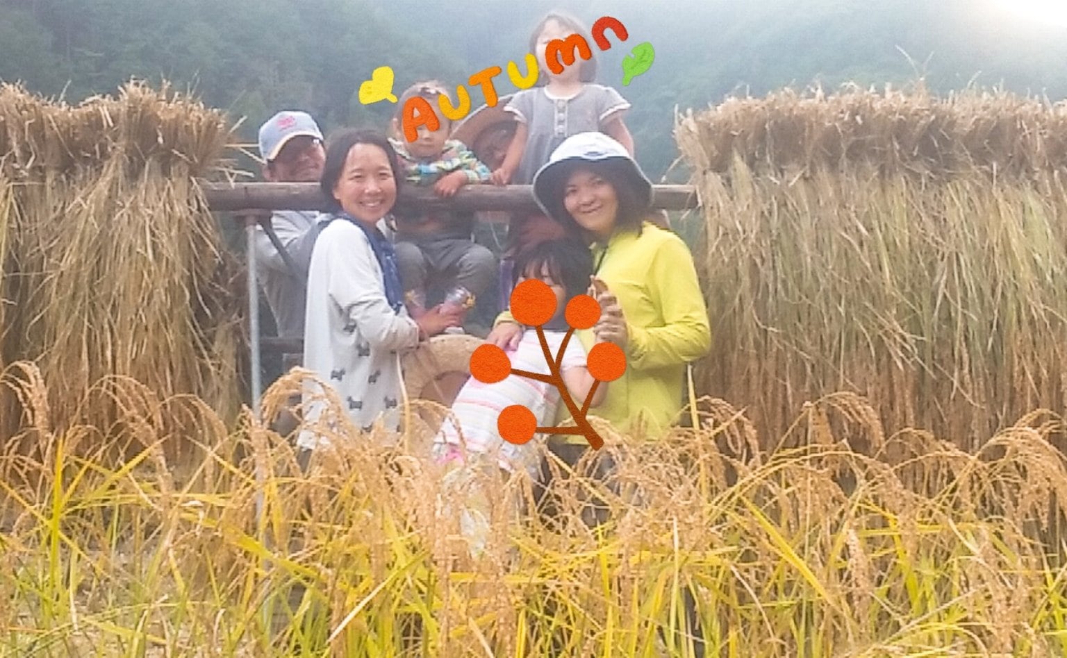 【リクエスト受付中】田んぼの中に答えがある～こめる農園＊体験会予約サイト～