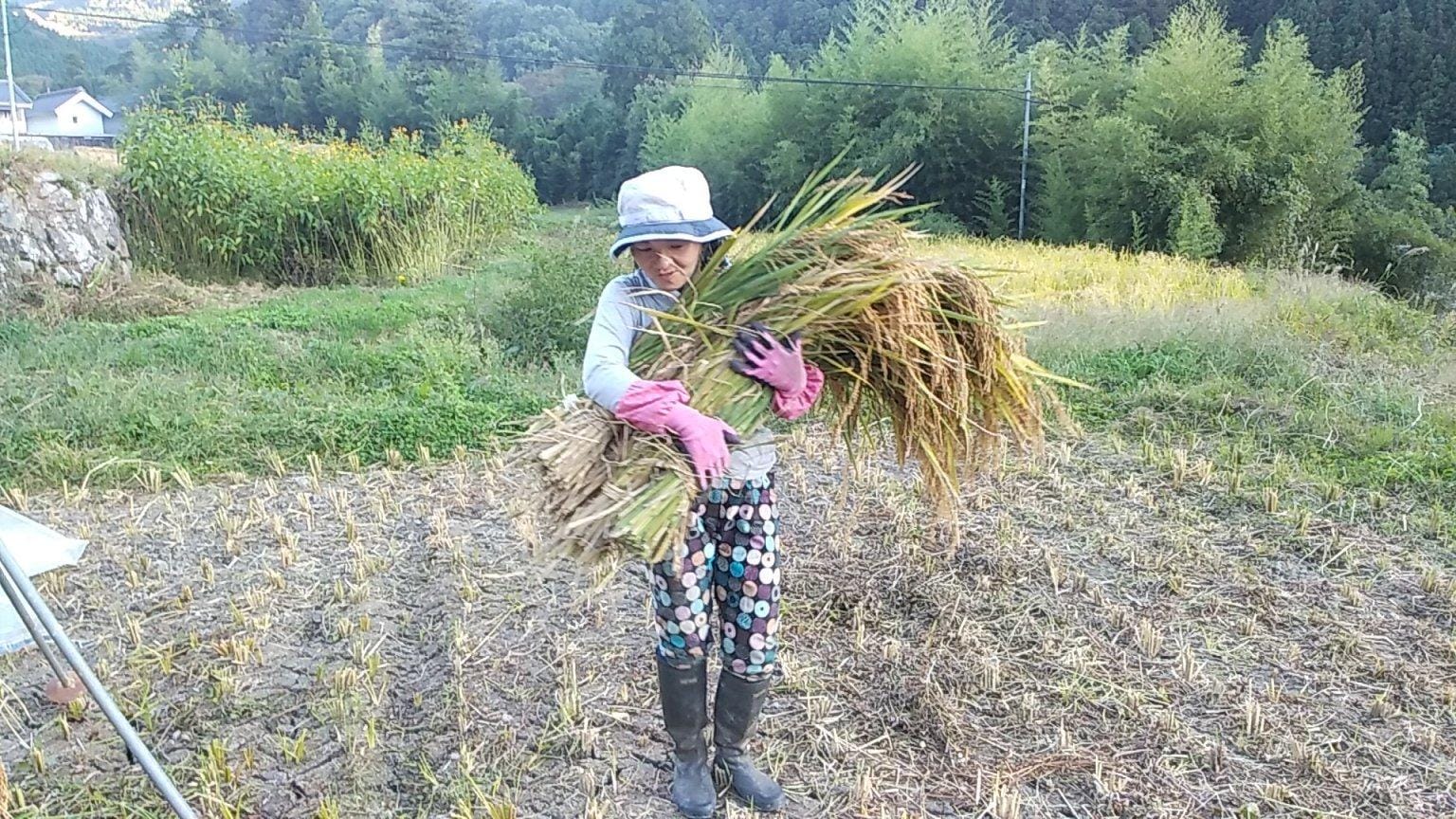 【リクエスト受付中】田んぼの中に答えがある～こめる農園＊体験会予約サイト～