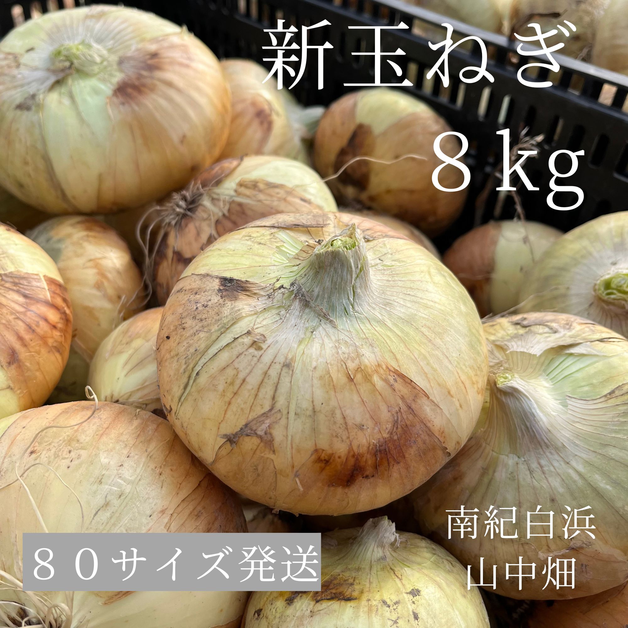 たまねぎ item_20250505_145914_573_ORG.jpg