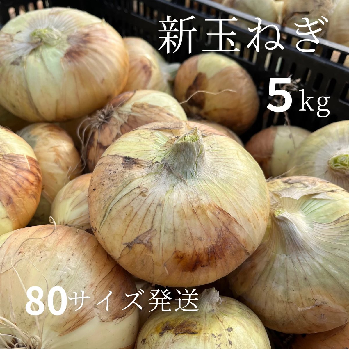 ５kg・新玉ねぎ・大豆３袋セット