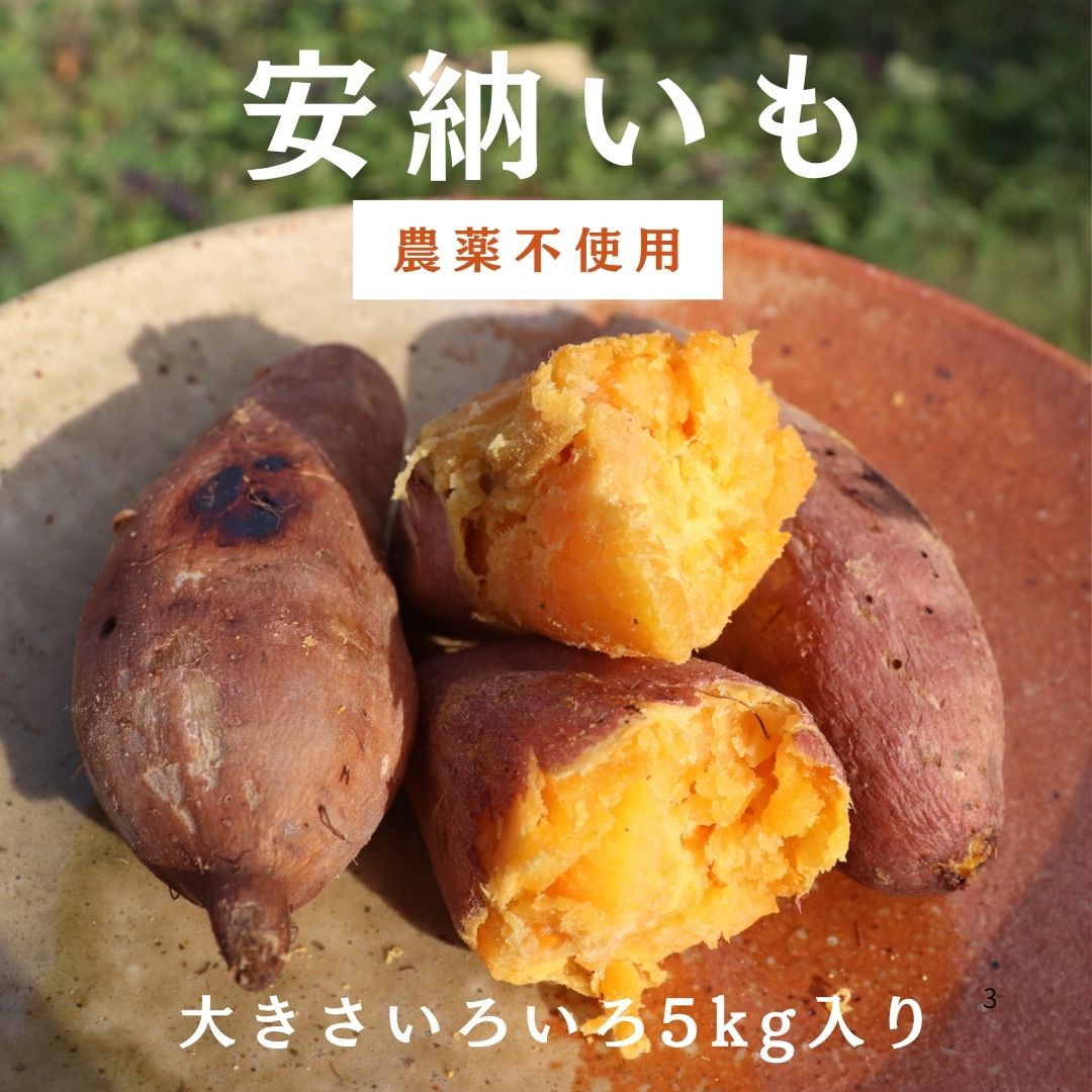 種子島産安納芋　農薬不使用　L23キロ 種子島産安納芋 農薬不使用 L23キロ - メルカリ