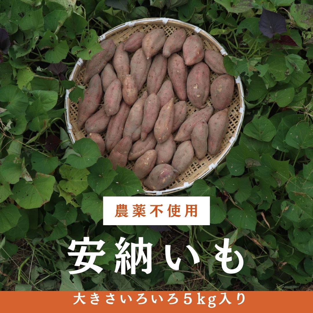 5kg・安納芋・農薬不使用