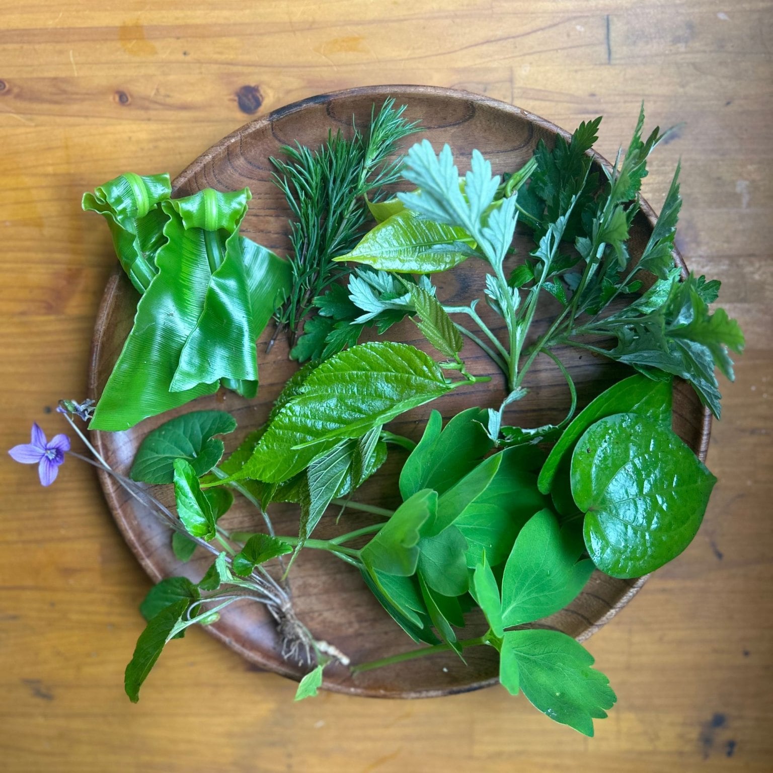 Flower of Life in 沖縄　畑から肌へ ーハーブ農家のほんものの香りづくりのお話会ー やんばる1dayリトリート