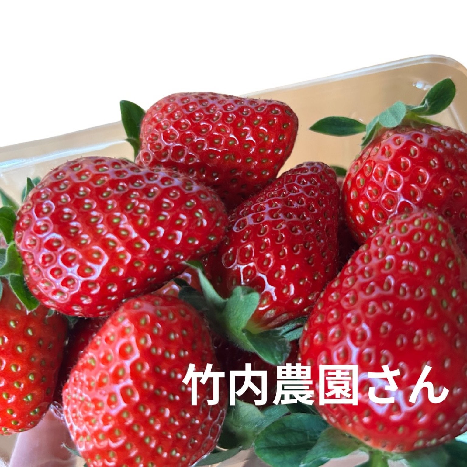 1/27お席確保用　現地払い専用ウェブチケット　10時〜11時半の席