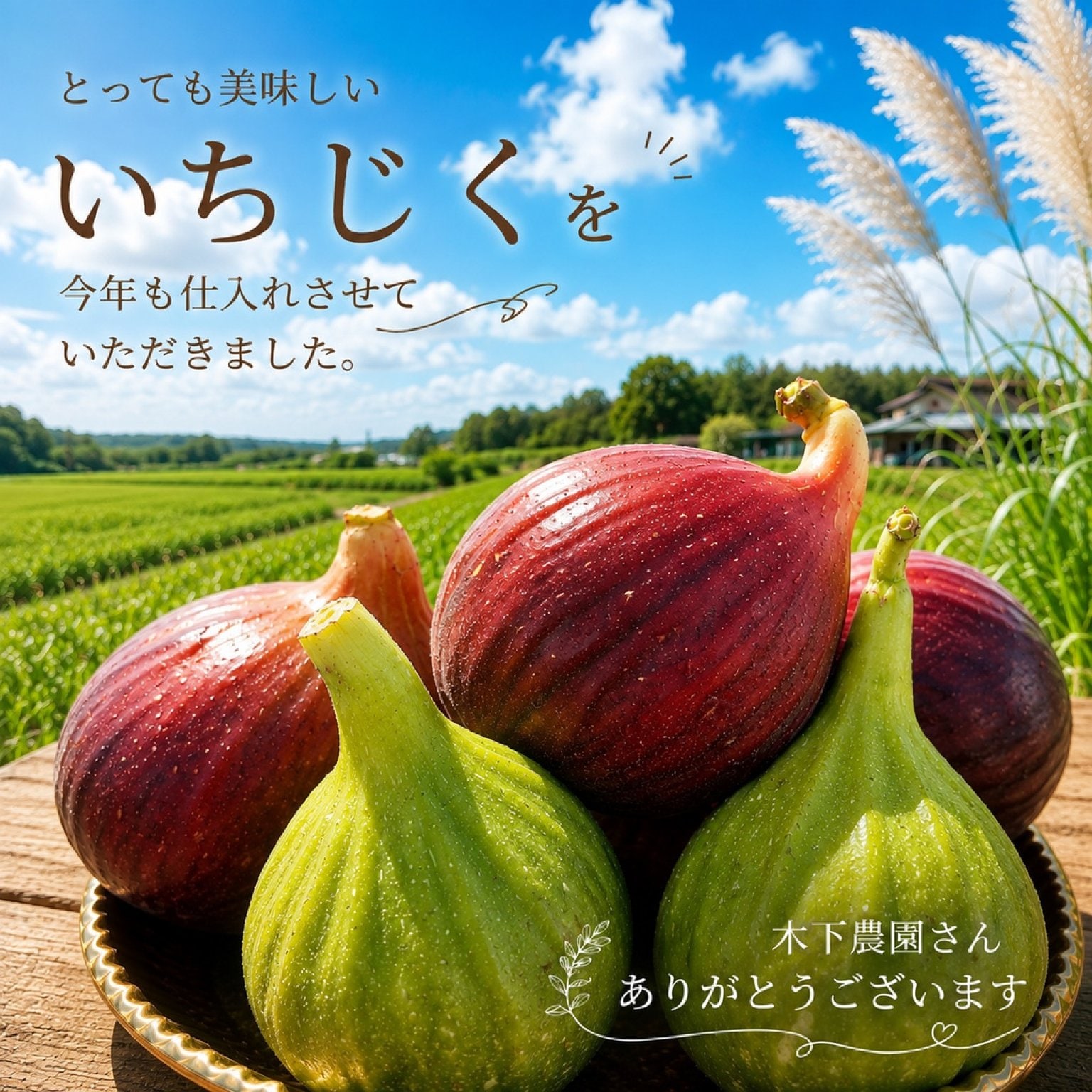 8/27お席確保用　現地払い専用ウェブチケット　13時〜16時の席