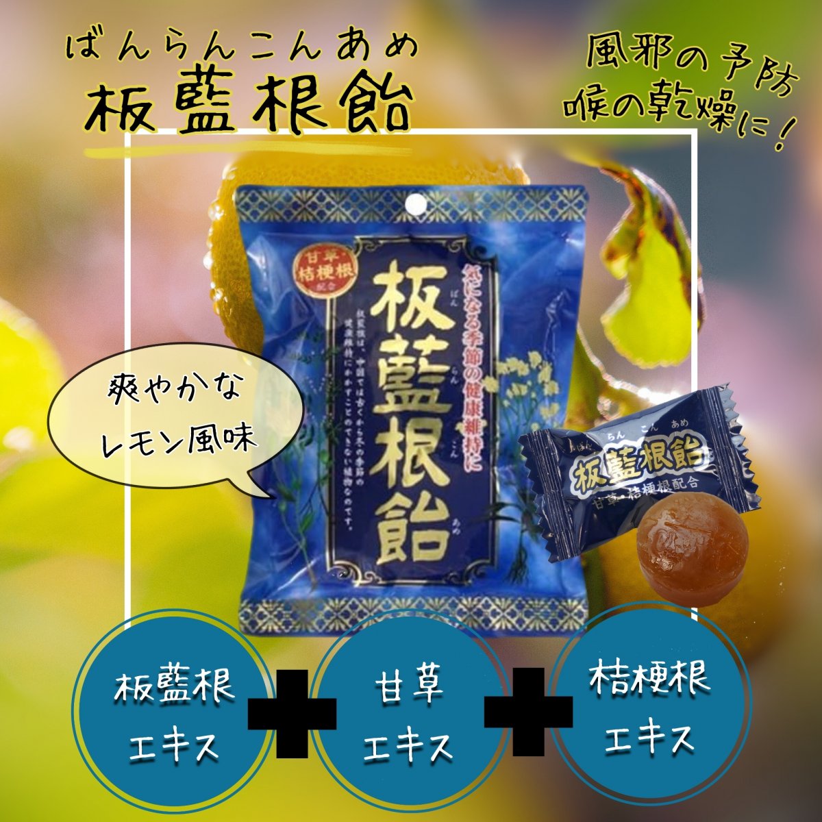 健康プラザパル