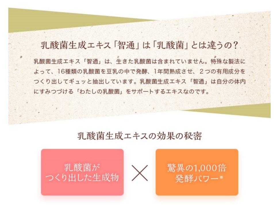 100年の乳酸菌研究から完成された『乳酸菌生成エキス』】智通 10ml×30