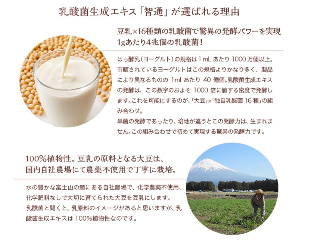100年の乳酸菌研究から完成された『乳酸菌生成エキス』】智通 10ml×30