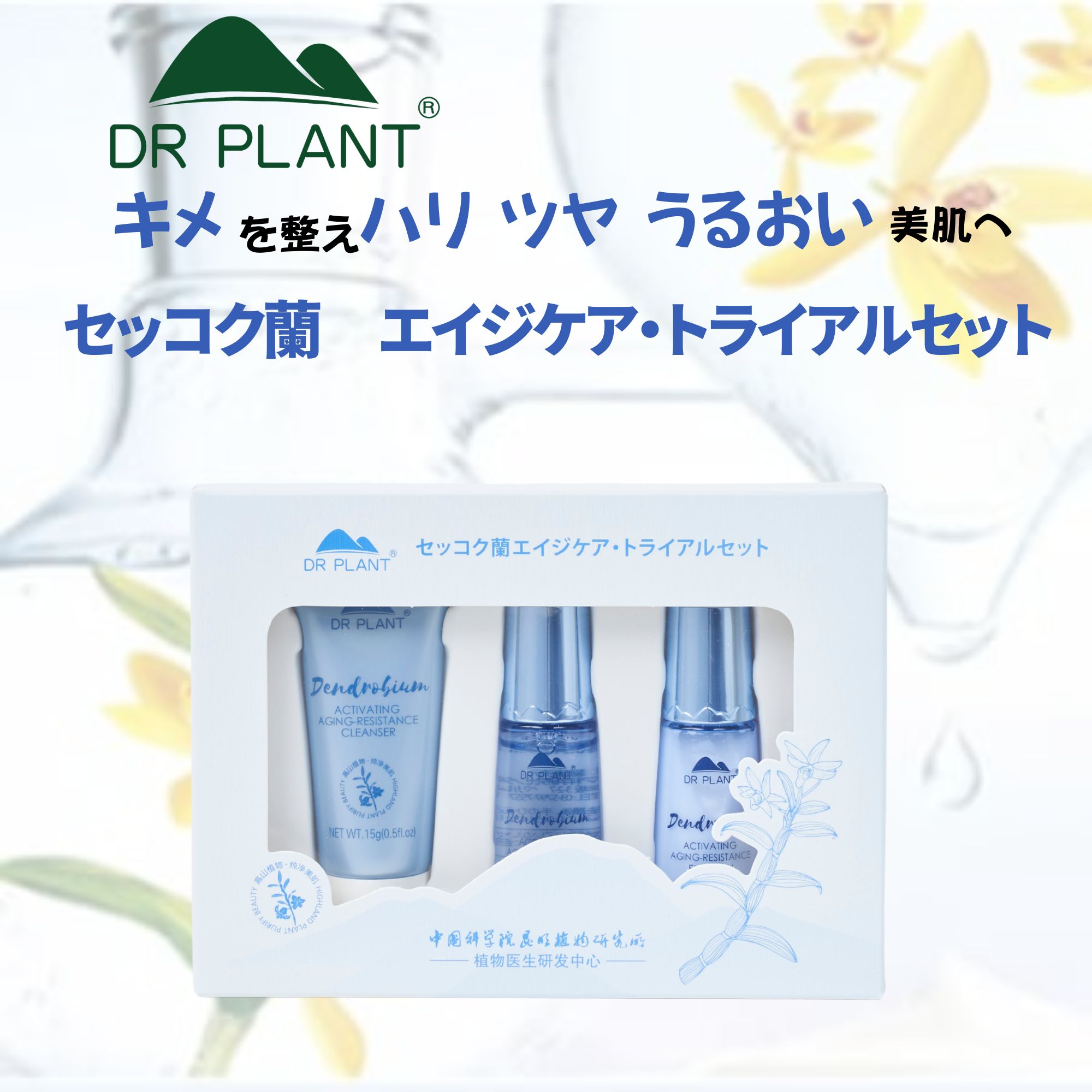 訳あり【高山植物、セッコク蘭生命力パワーたっぷり!】エイジケア