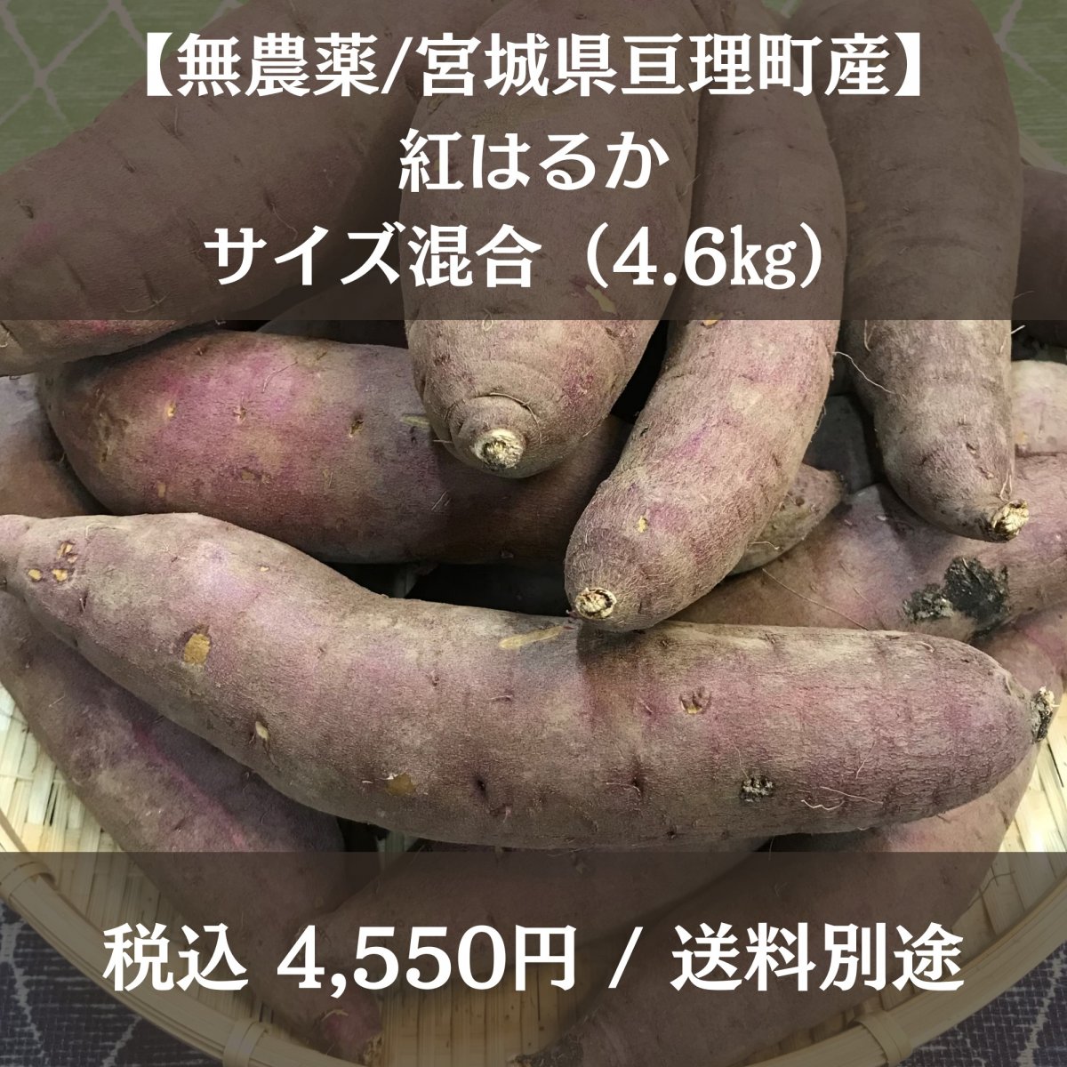 【無農薬栽培】紅はるか(土付き)/サイズ混合(4.6㎏)宮城県亘理町産 熟成サツマイモ 送料別途