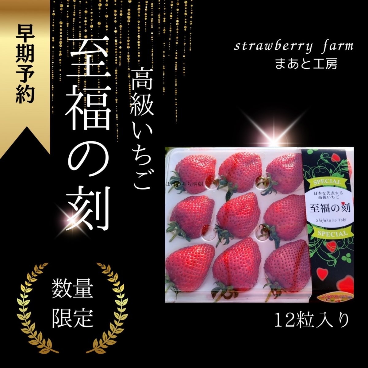 【早期予約】高級いちご3種類食べ比べセット（よつぼし・すず・はるひ）/チルド発送（北海道・沖縄は別途送料）2025年1月〜順次発送