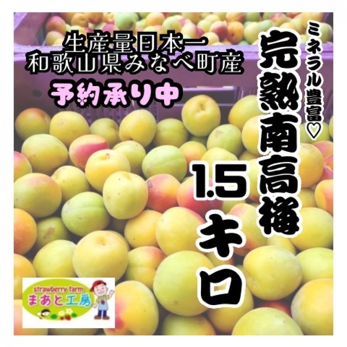 予約販売】2026年度産 生産量日本一『和歌山県みなべ町ブランド完熟南