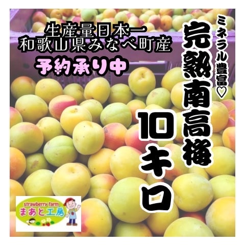 予約販売】2026年度産 生産量日本一『和歌山県みなべ町ブランド完熟南