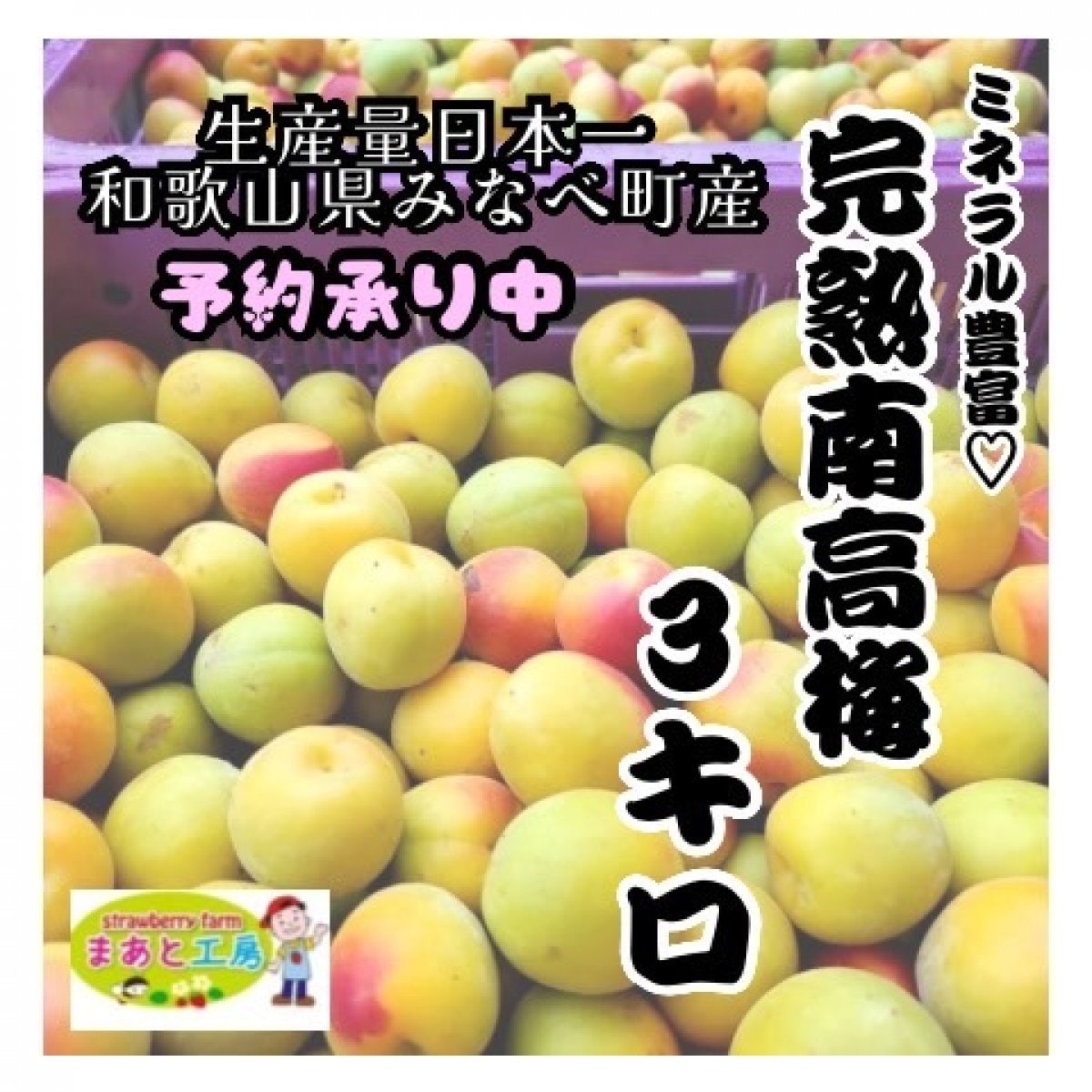 予約販売】2026年度産 生産量日本一『和歌山県みなべ町ブランド完熟南
