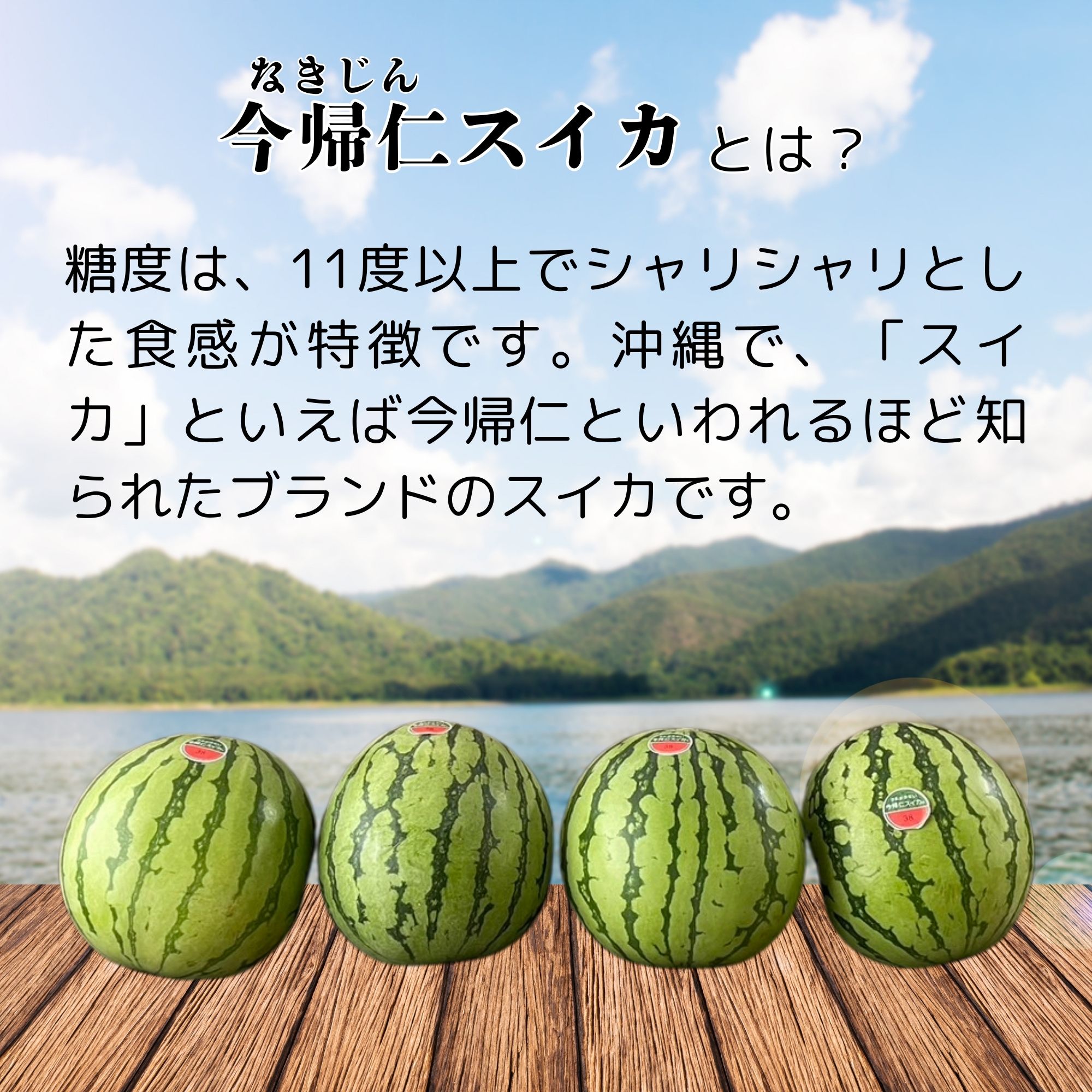 予約販売 | 種の少ないスイカ】沖縄産今帰仁スイカ2玉セット（4〜5kg