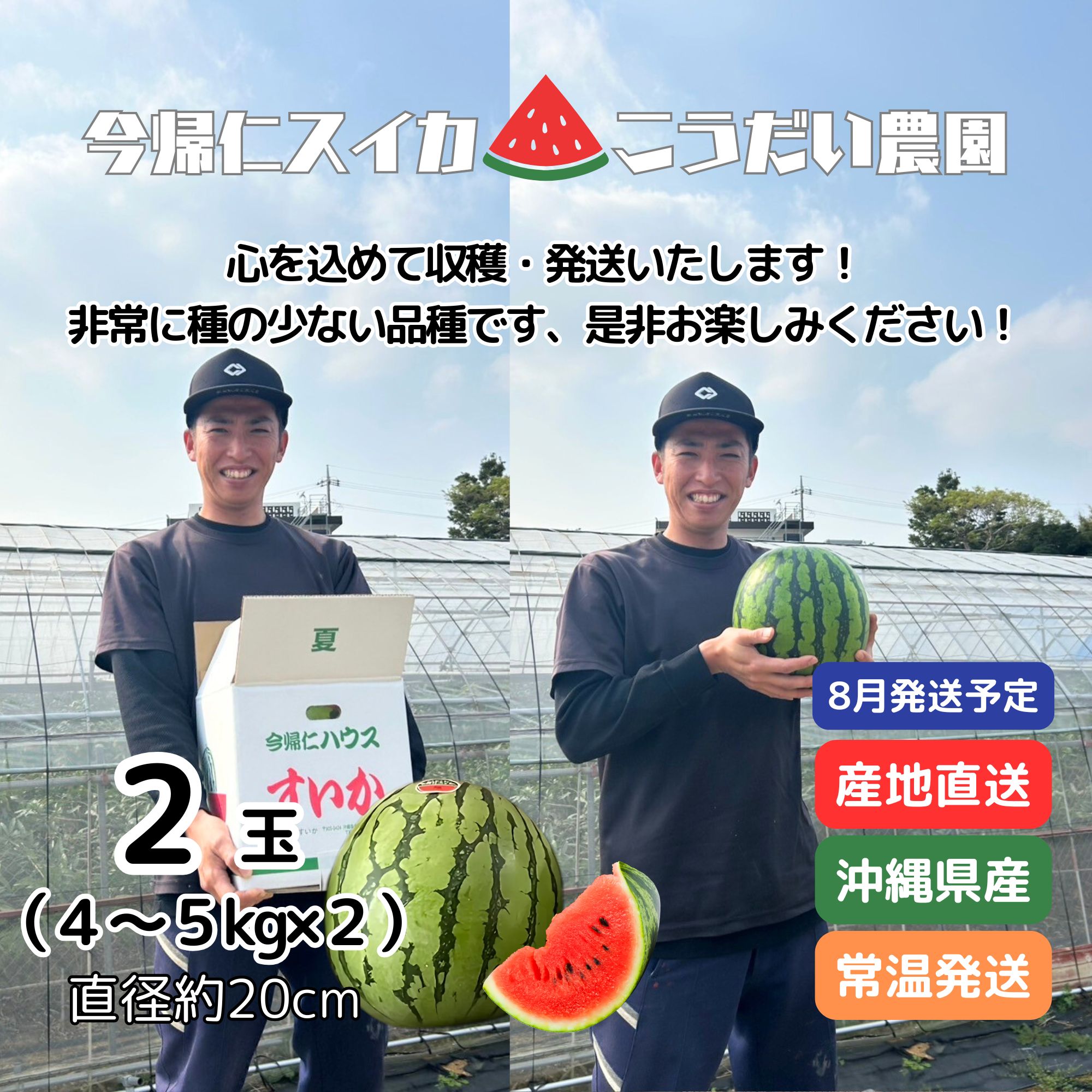 イ*ト様 高知産　約１０ｋｇ　温室栽培スイカ　４玉　秀品　北海道沖縄発送不可 予約販売 | 種の少ないスイカ】沖縄産今帰仁スイカ2玉セット（4〜5kg