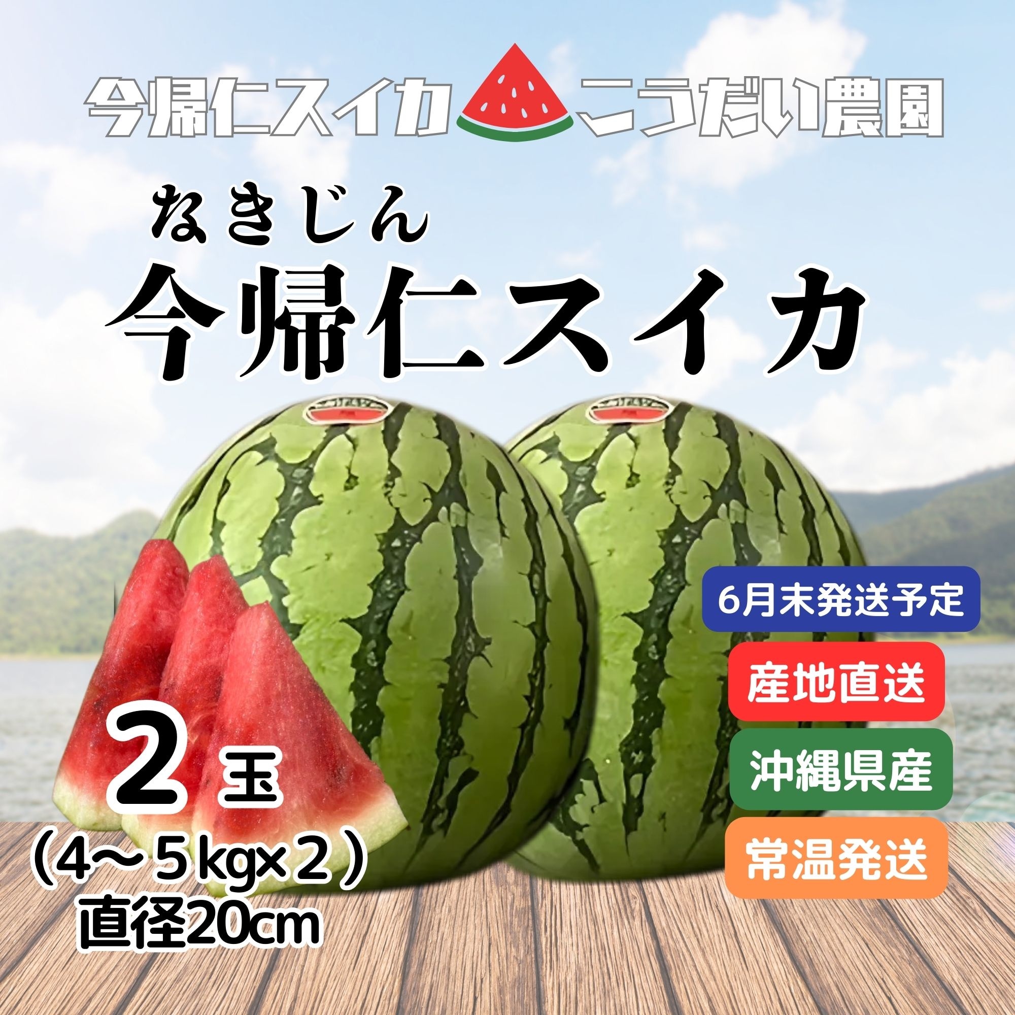 予約販売 | 種の少ないスイカ】沖縄産今帰仁スイカ2玉セット（4〜5kg
