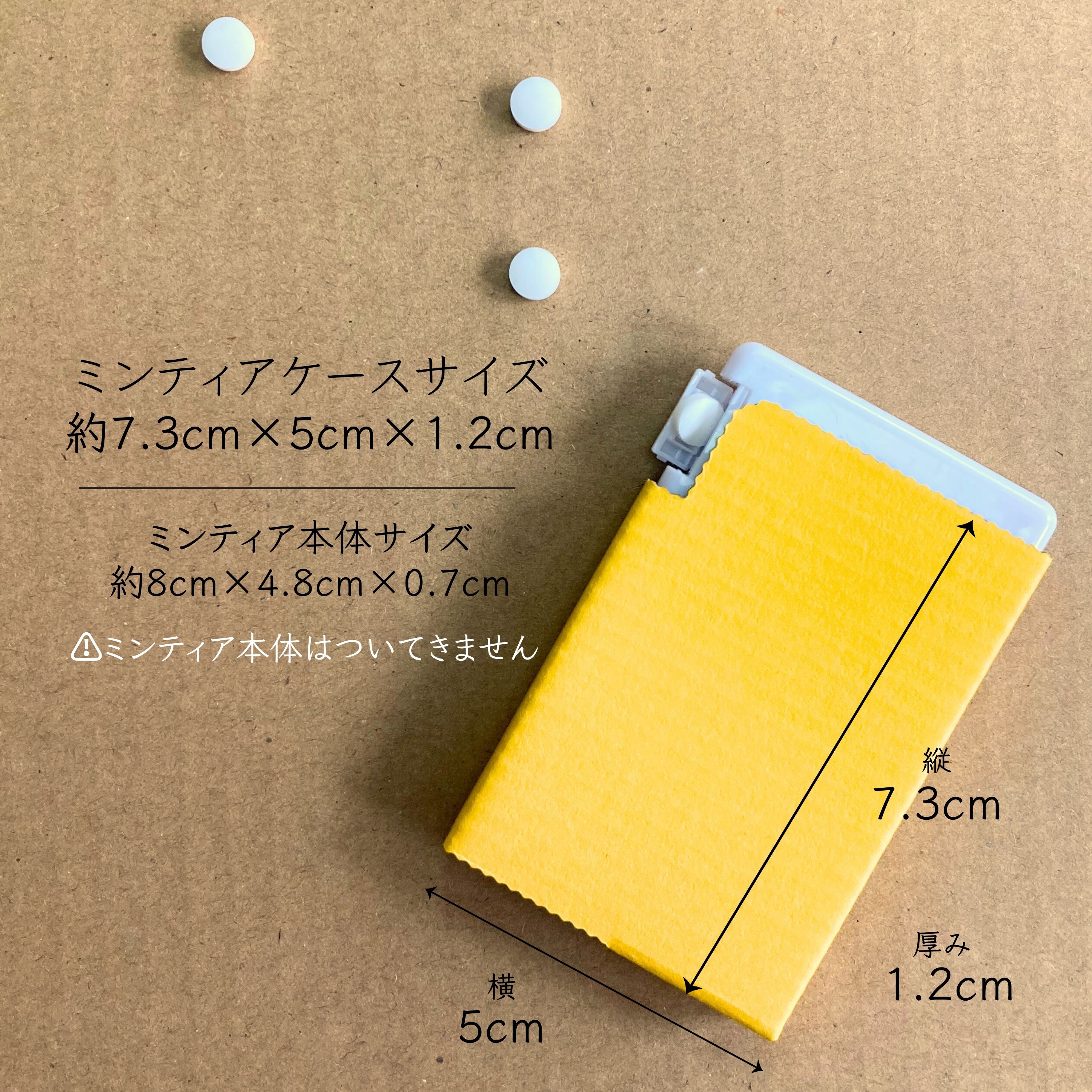 送料込み【ミンティアケース3個セット】 全9色の中から3つ選んで