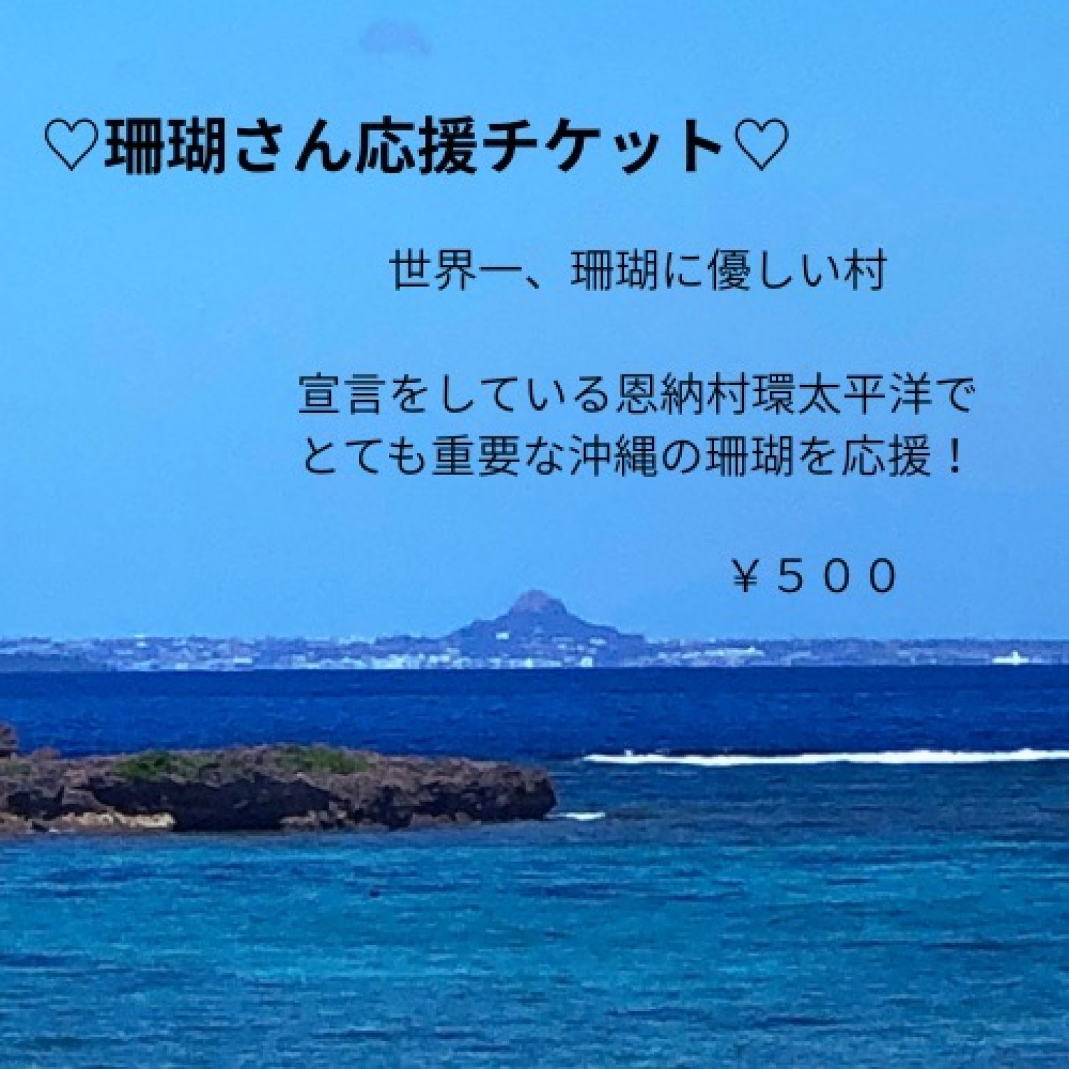 珊瑚さん応援チケット