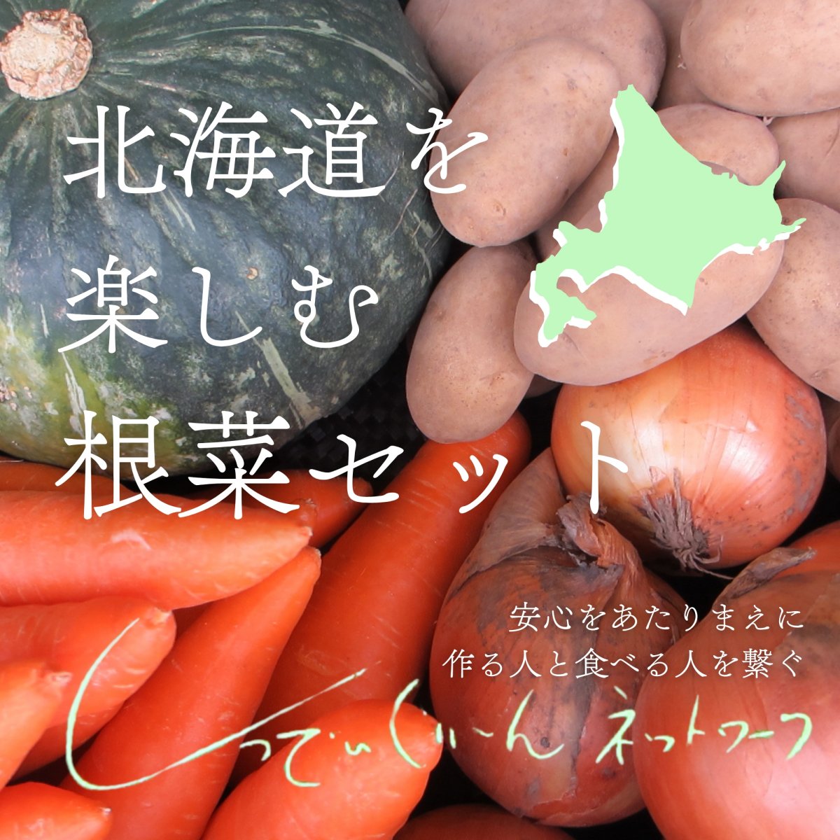 しっでぃぐり〜んネットワーク