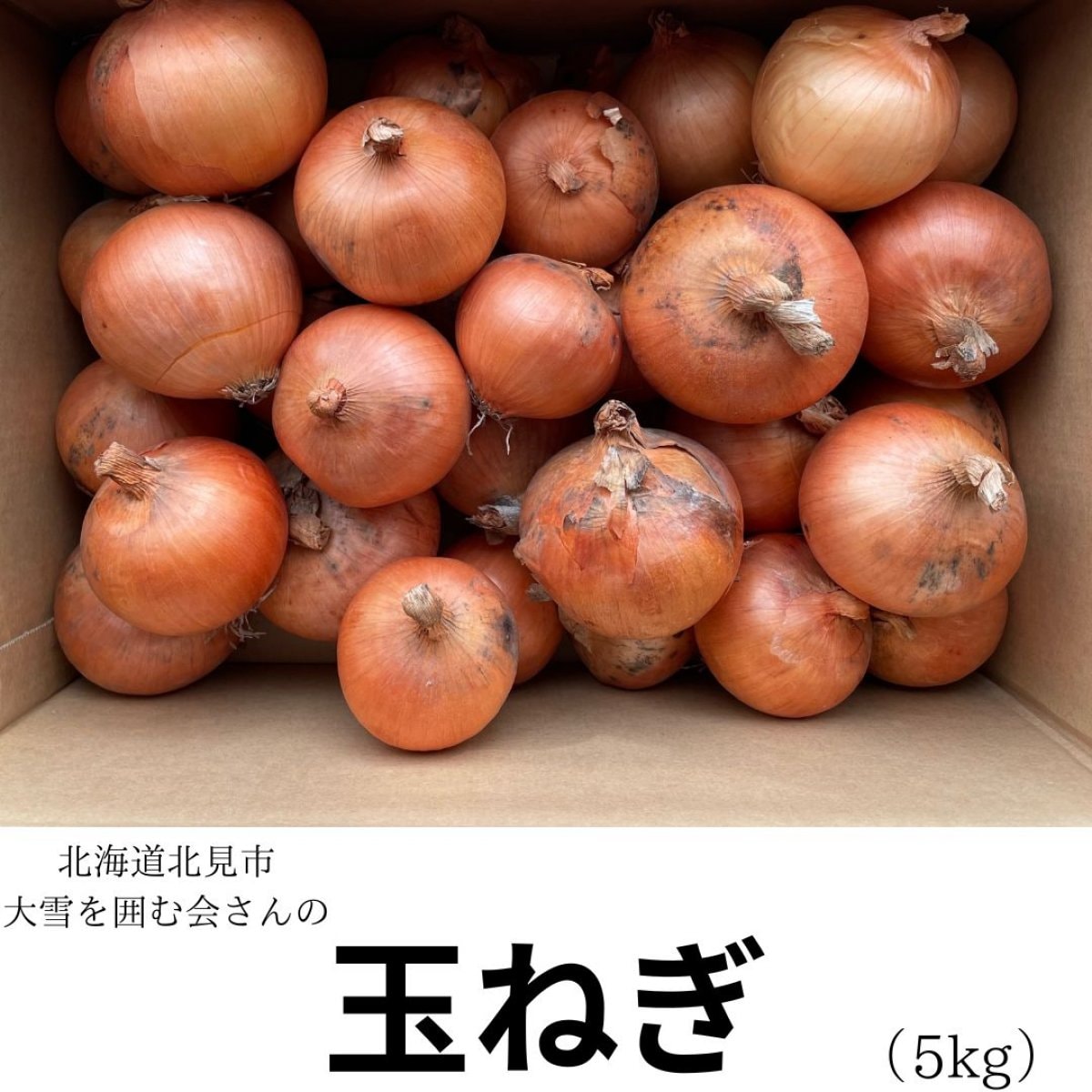 【北海道・大雪を囲む会】玉ねぎ　5kg【有機栽培】
