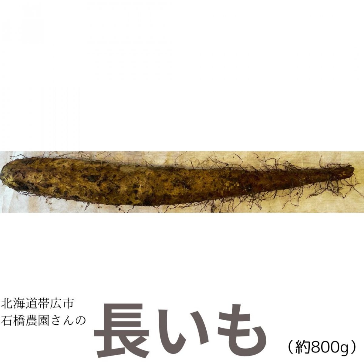 【北海道・石橋農園】長いも　1本約800g【有機肥料・化学肥料のミックス】