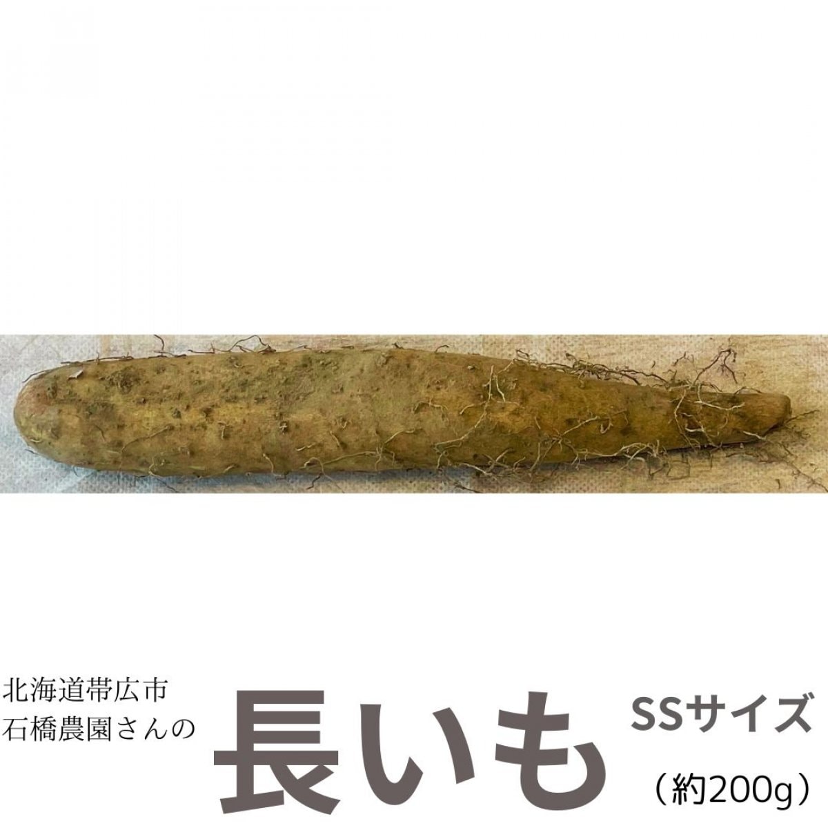 【北海道帯広市・石橋農園】長いもSSサイズ　1本約200g【有機肥料・化学肥料のミックス】