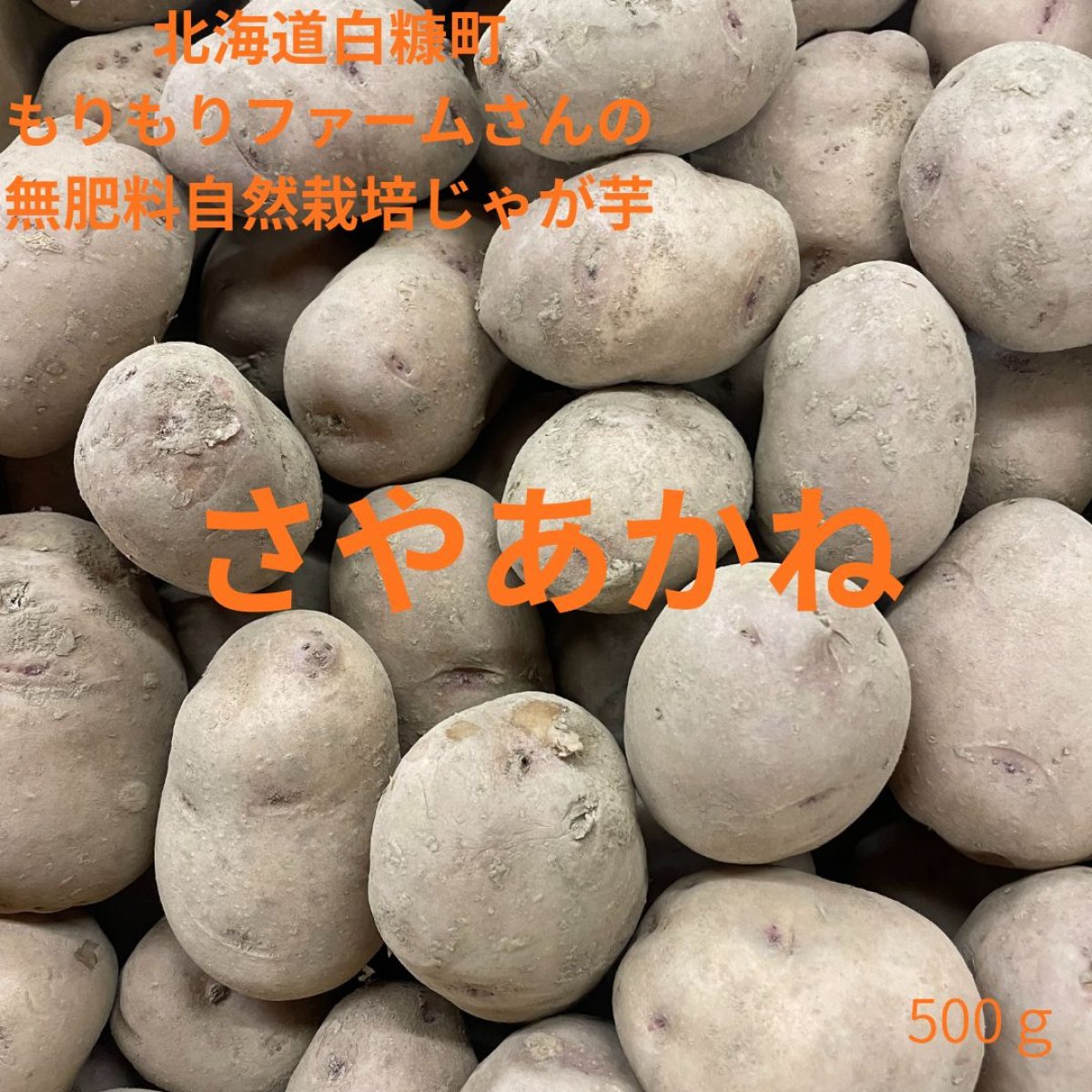 【北海道白糠町・もりもりファーム】無肥料自然栽培じゃが芋　さやあかね　（500ｇ）