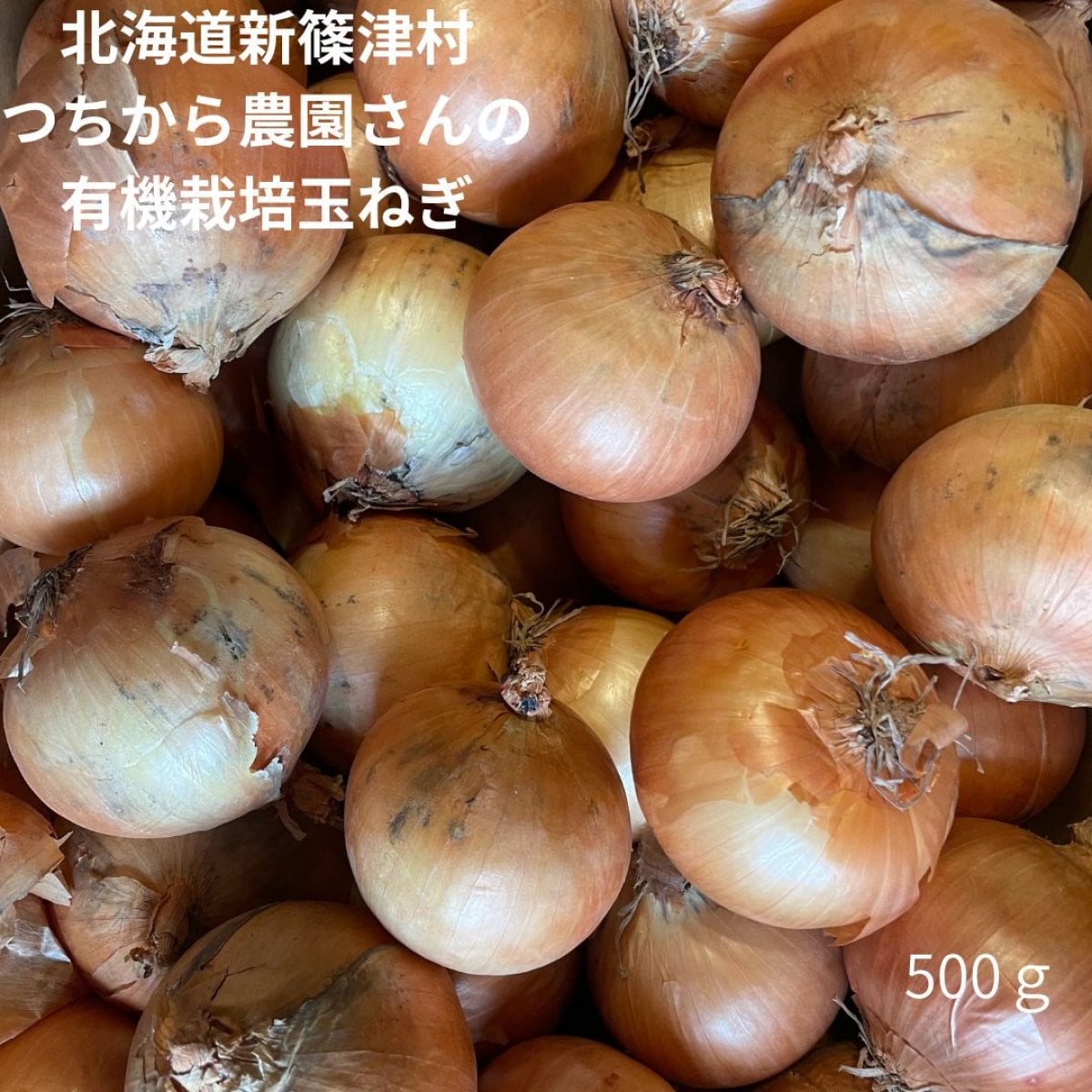 【北海道新篠津村・つちから農園】有機栽培玉ねぎ　（500ｇ）