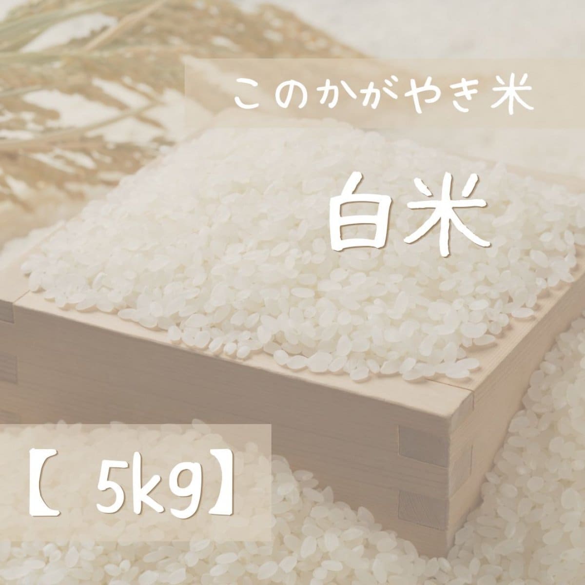 miyukikiさま専用ページ【玄米5キロ白米5キロ】 miyukikiさま専用ページ【玄米5キロ白米5キロ】の通販はau PAY