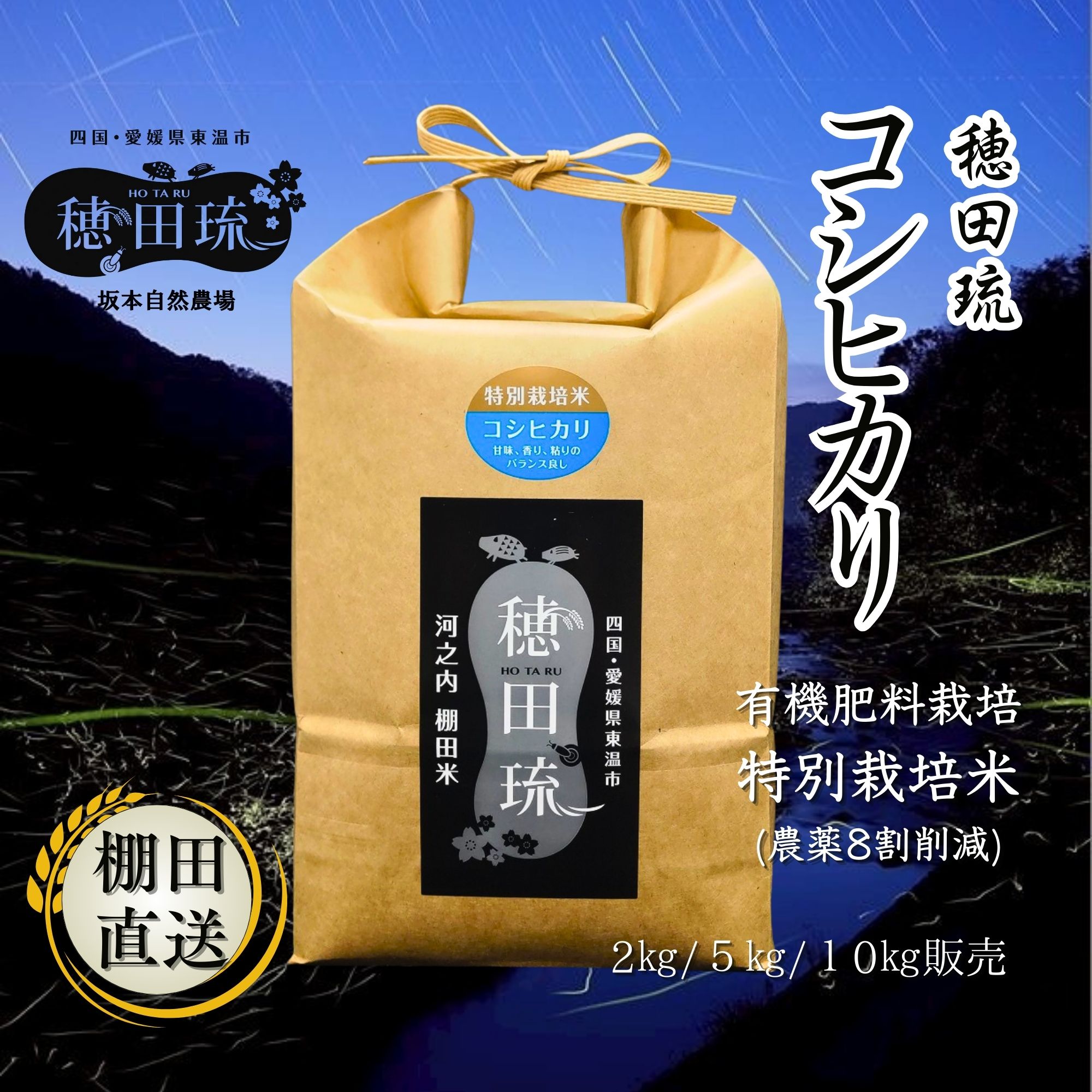 ☆新米☆[白米]特別栽培米コシヒカリ2kg有機肥料減農薬栽培 食品