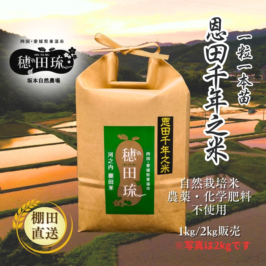 特別脱穀米 静岡産 玄米 農薬：栽培期間未使用品 にこまる 20kg 【公式