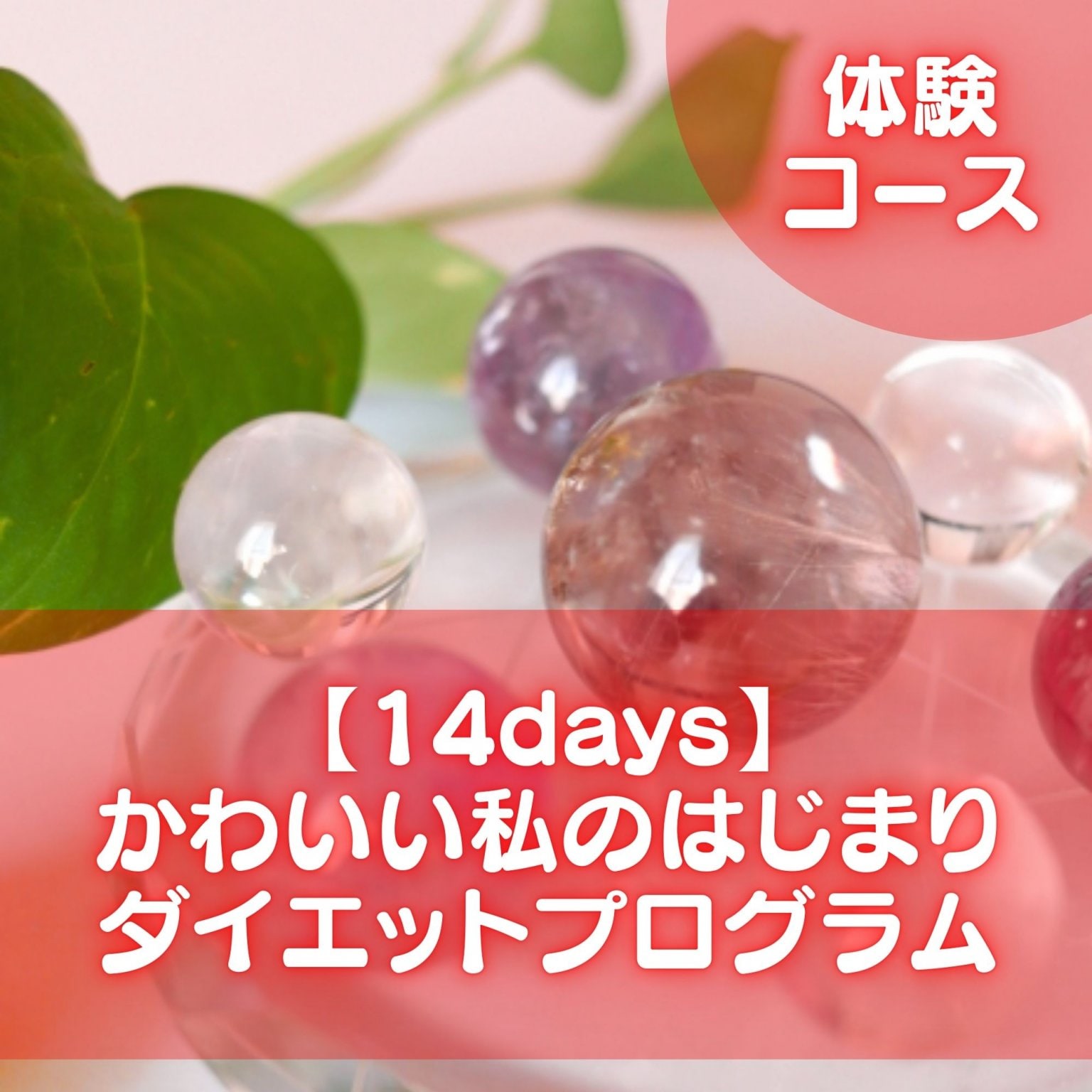 【体験コース】14days　かわいい私のはじまりダイエットプログラム
