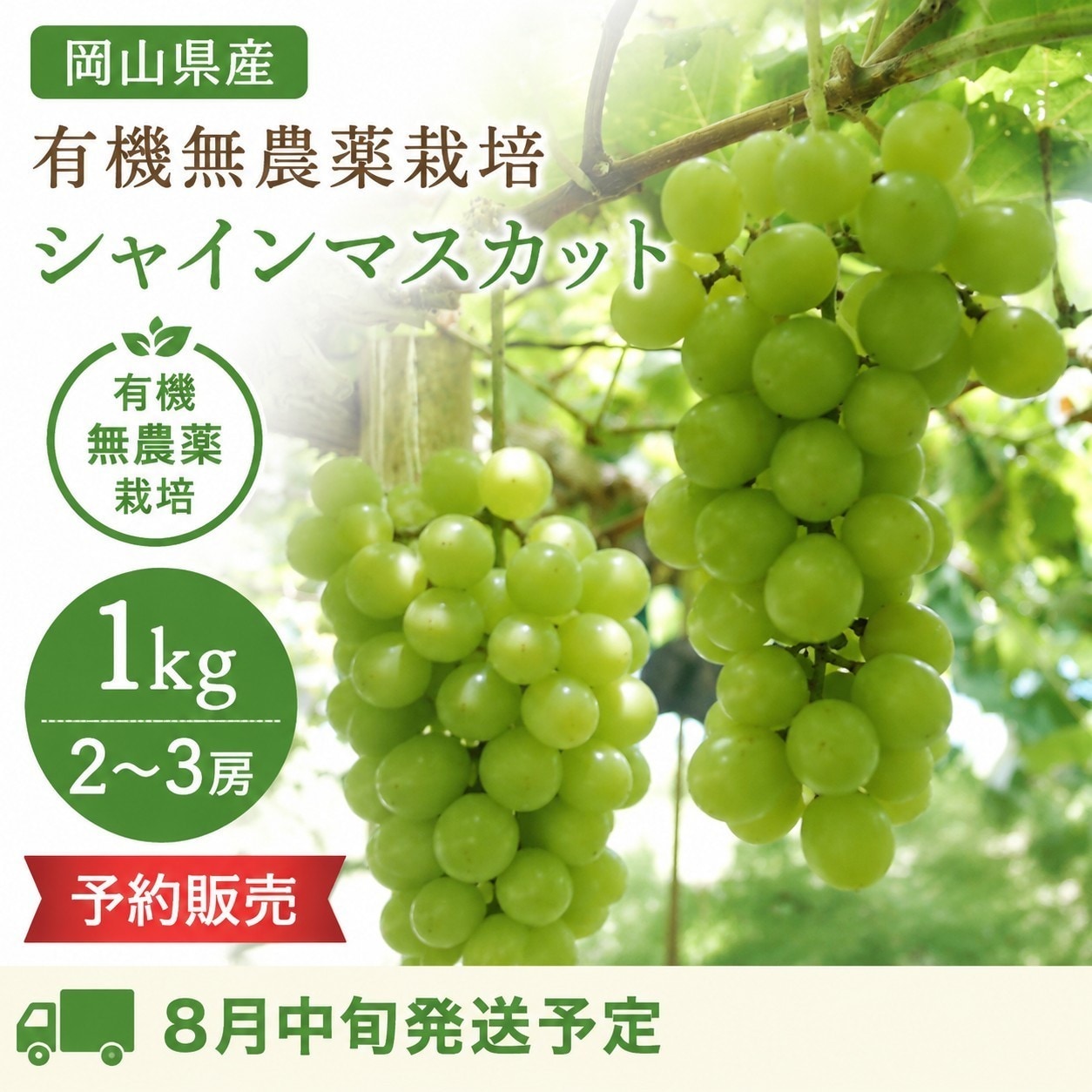 予約販売】岡山県産シャインマスカット1kg（2〜3房）/送料別|Asai