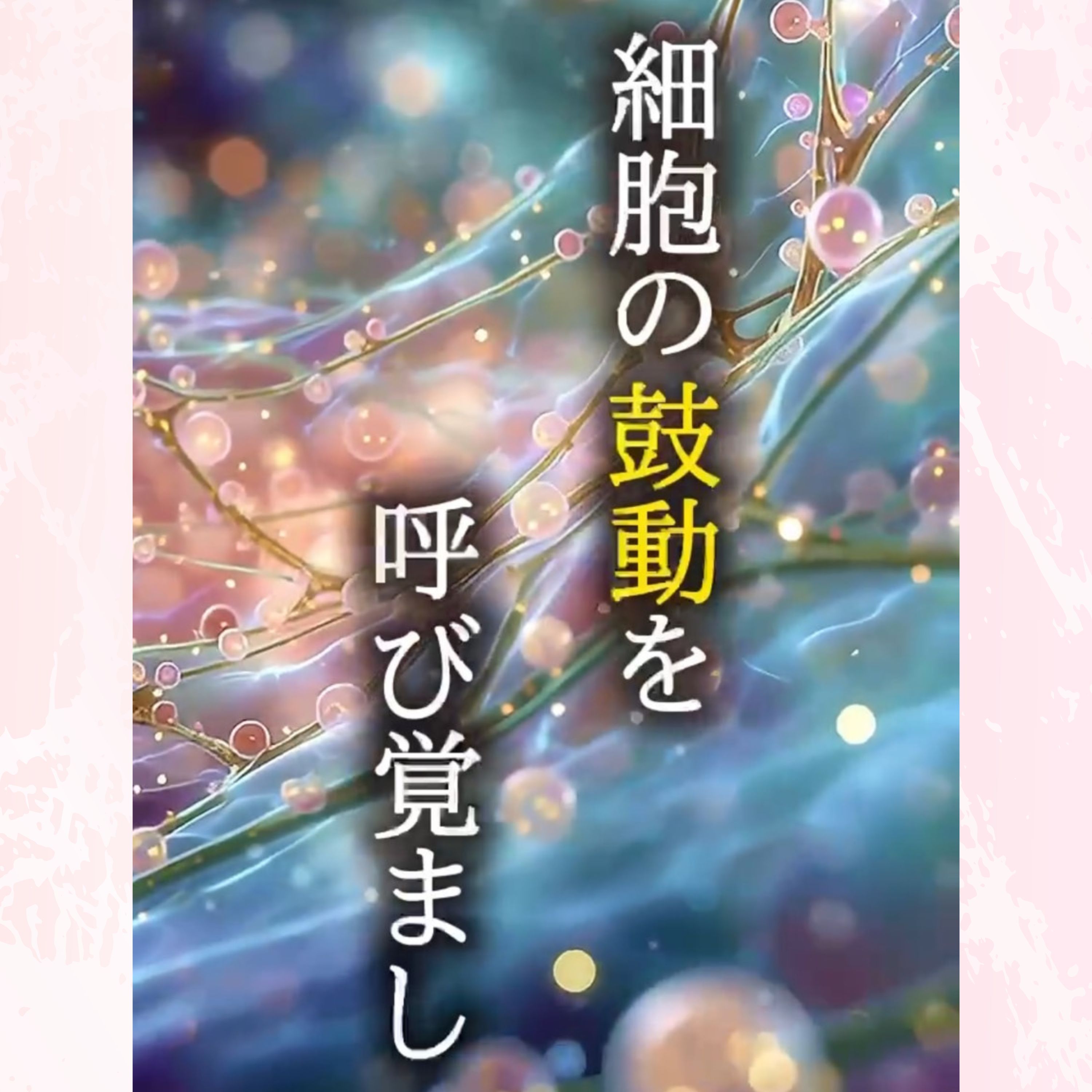 コーラルソマチッド美容液｜ Hana Plus（ハナプラス）ーECM発想の、次